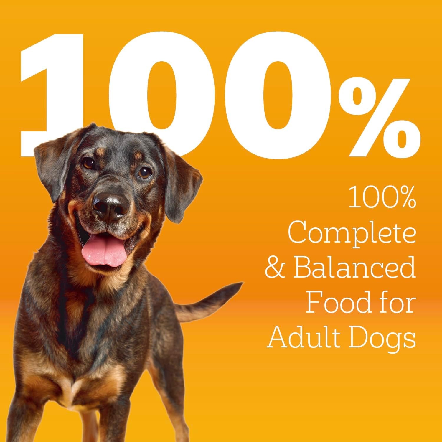 High Protein Adult Dry Dog Food, Chicken and Turkey Flavor, 18 Lb. Bag