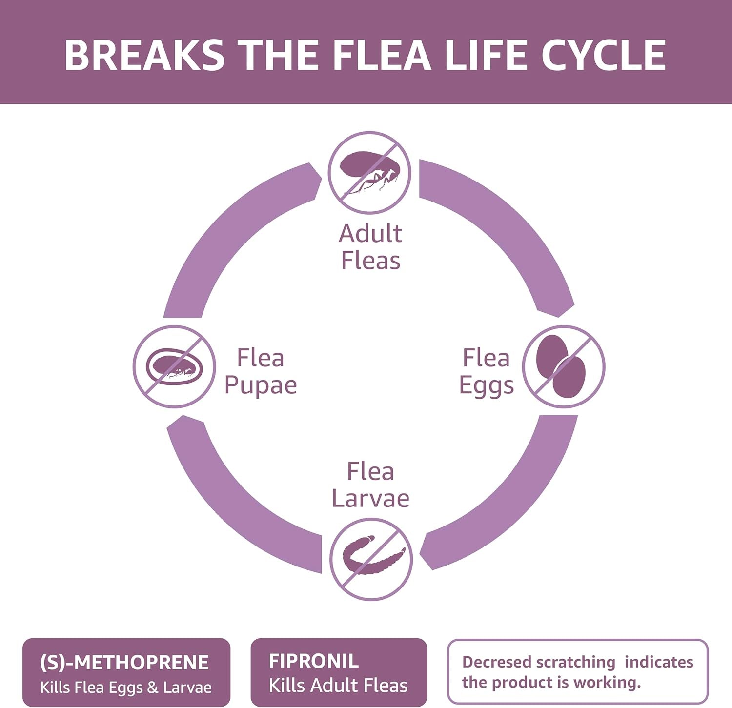 Flea and Tick Topical Treatment for Large Dogs (45-88 Pounds), 3 Count (Previously Solimo)