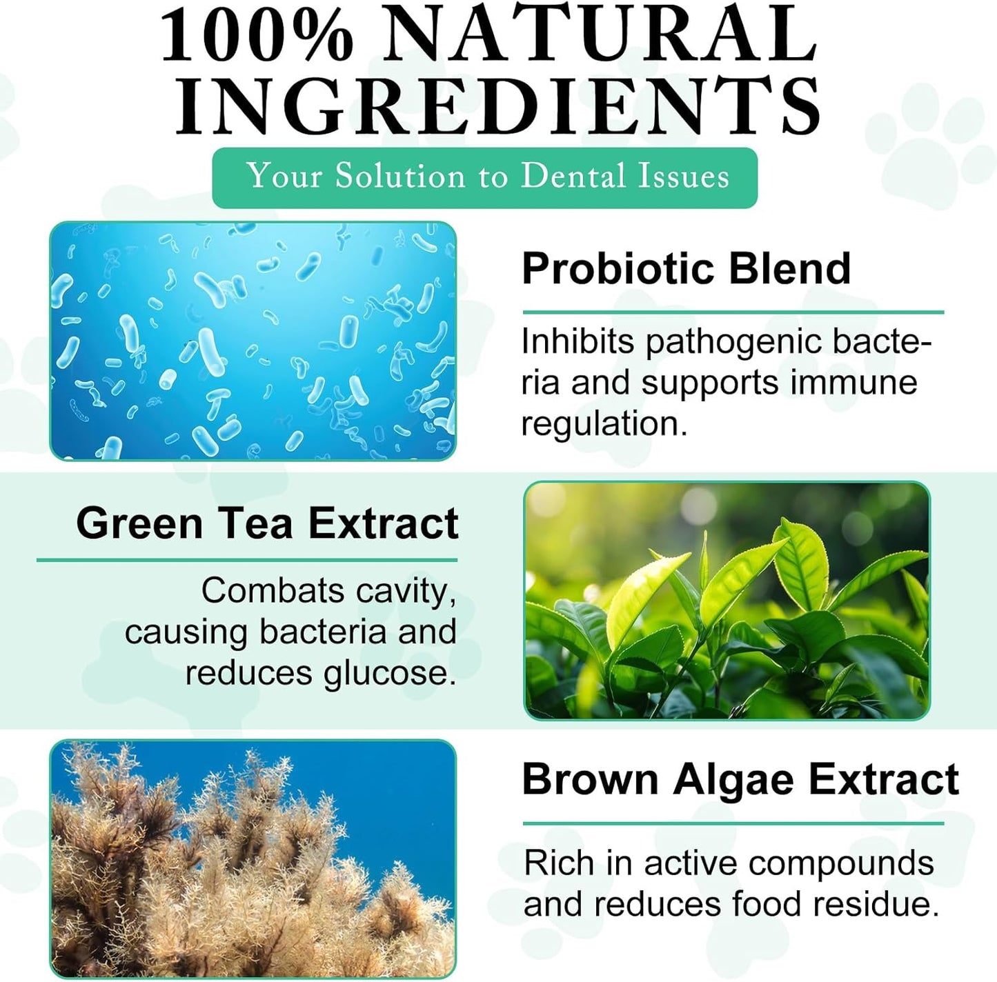 Dog Dental Powder - Teeth Cleaning Powder for Dogs - Dental Powder for Dogs - Dog Dental Care - Plaque & Bad Breath off Powder Dog - Dental Care Supplies for Small - Medium - Large Dogs