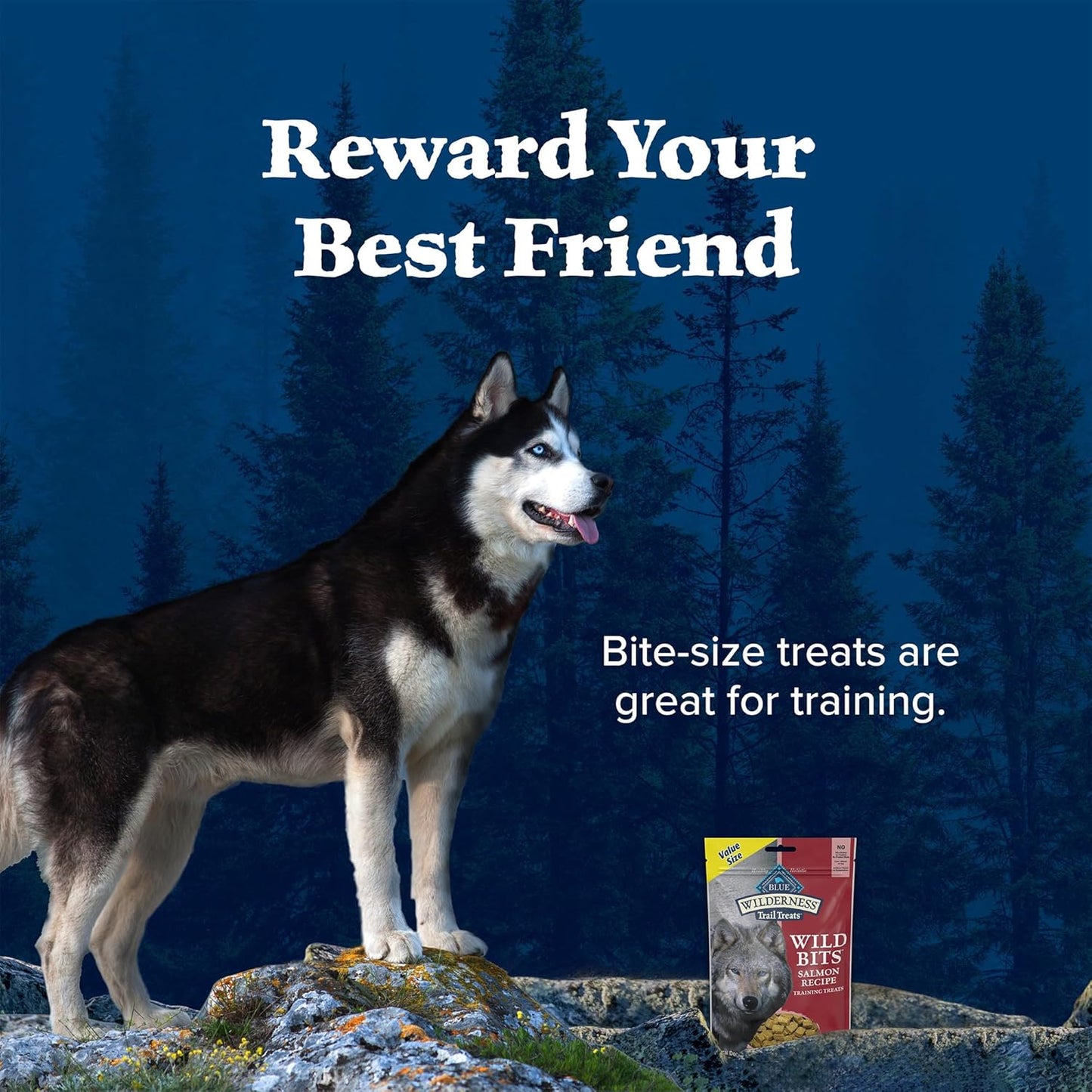 Wilderness Trail Treats Wild Bits Training Treats for Dogs, Grain-Free Dog Treats, Salmon Recipe, 10-Oz. Bag