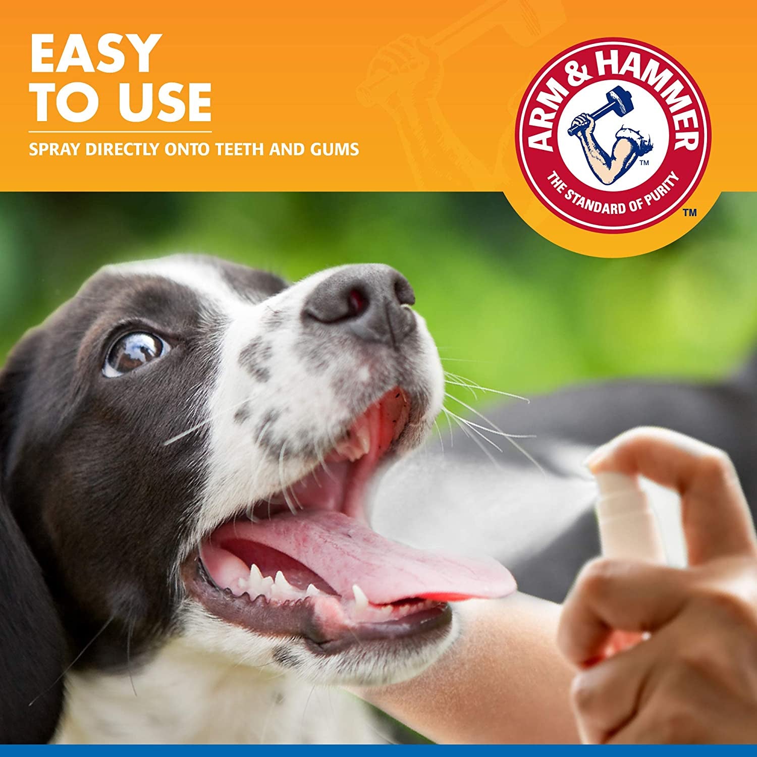 for Pets Tartar Control Dental Spray for Dogs, Mint Flavor - Dog Breath Freshener, Dog Plaque and Tartar Remover, Dog Dental Care and Teeth Cleaning, 4 Ounce