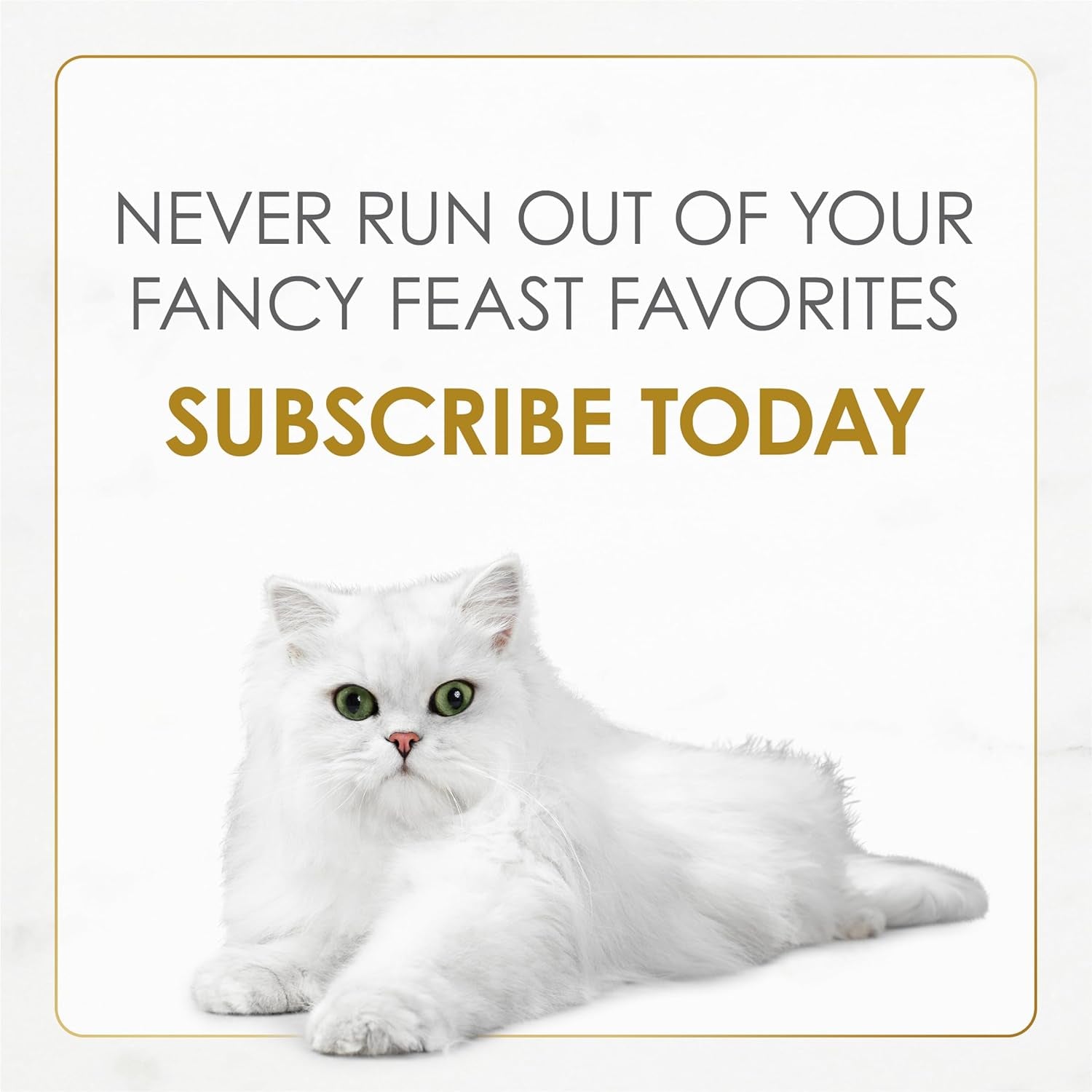 Purina  Gravy Lovers Chicken Hearts and Liver Feast Grilled Gourmet Cat Food in Wet Cat Food Gravy - (Pack of 24) 3 Oz. Cans