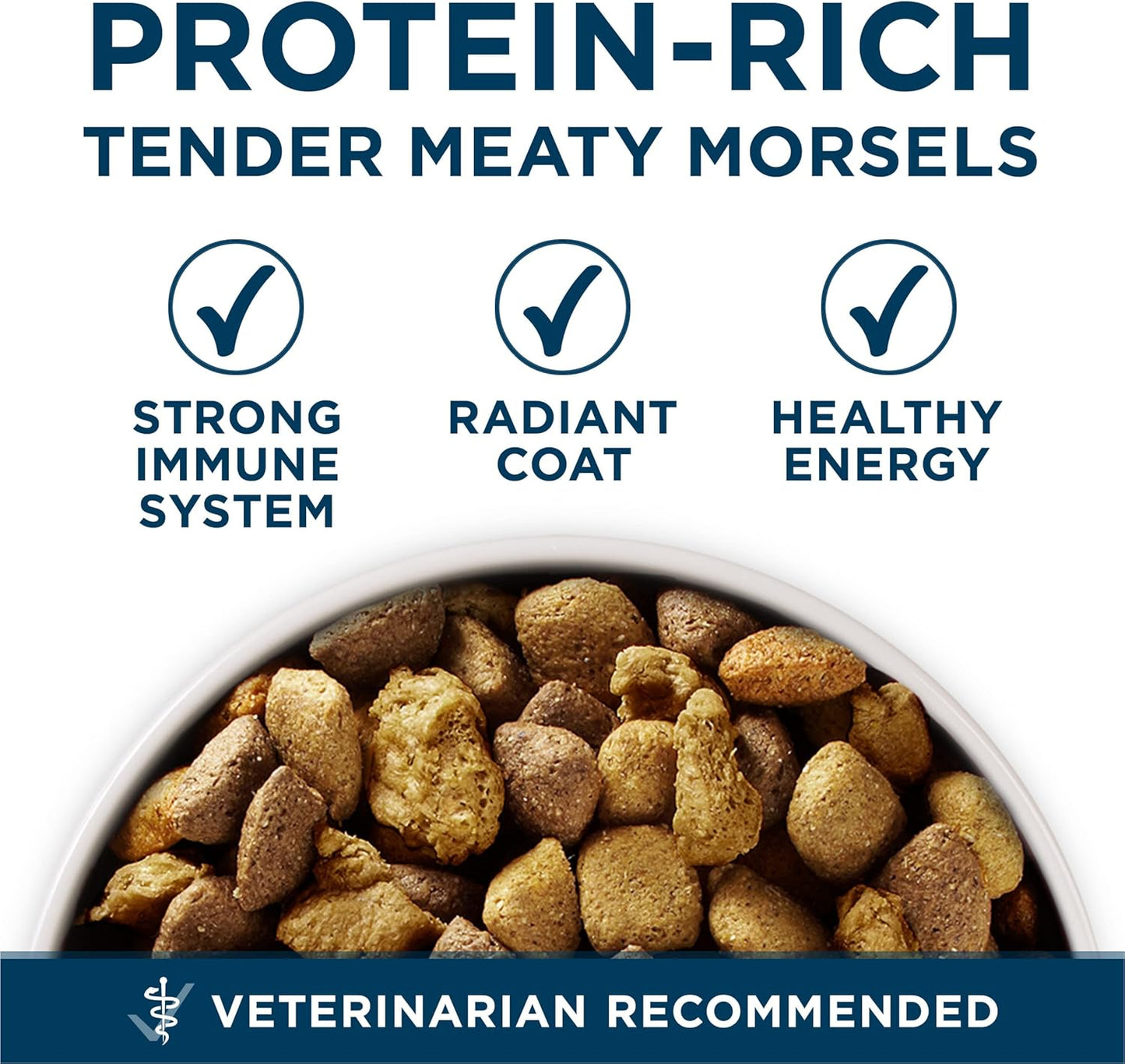 plus Large Breed Adult Dog Food Dry Formula - 40 Lb. Bag