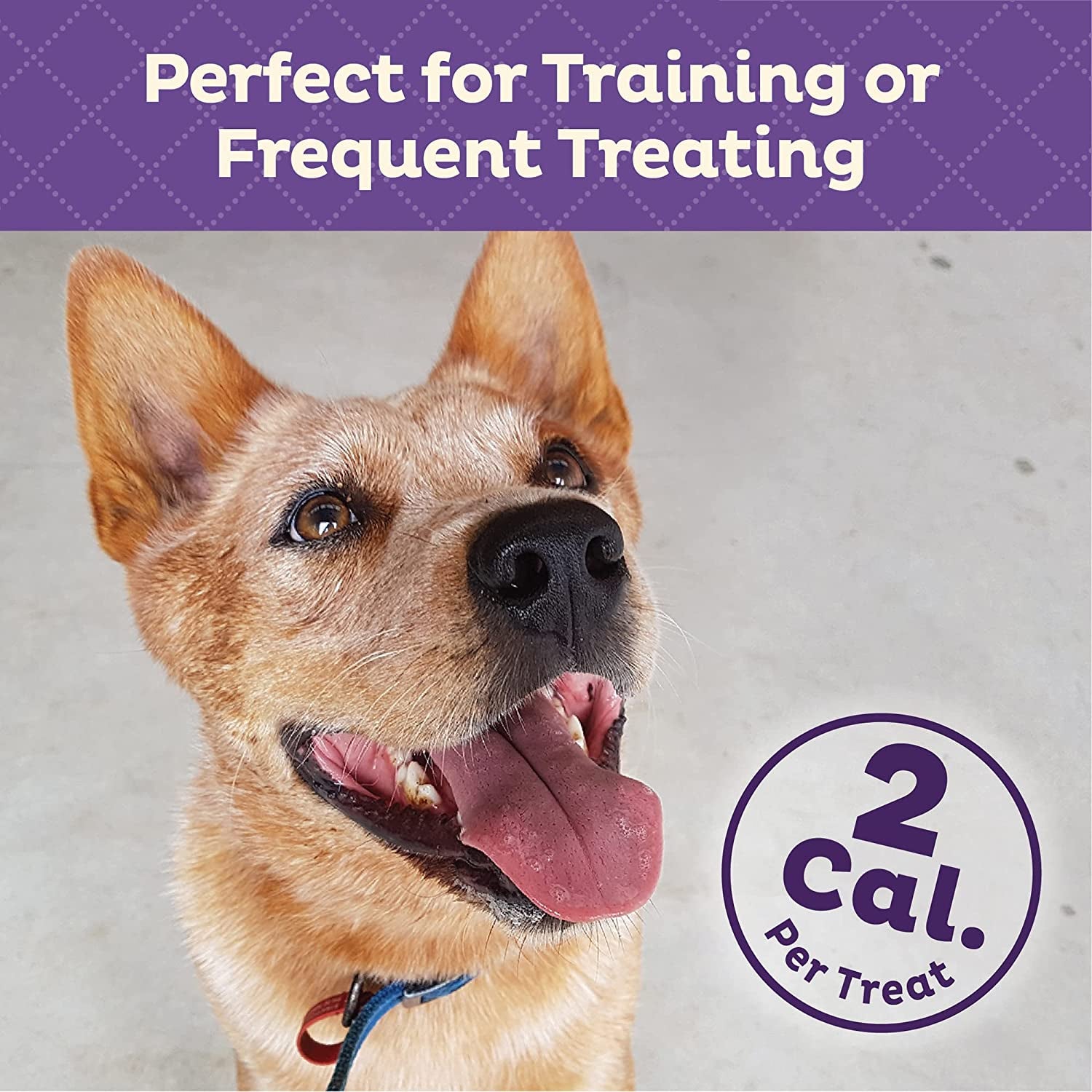 Wellness Training Bitz Assorted Mix Dog Biscuits, Natural, Training Treats, Three Flavors, Small Size, (8 Ounce Bag)