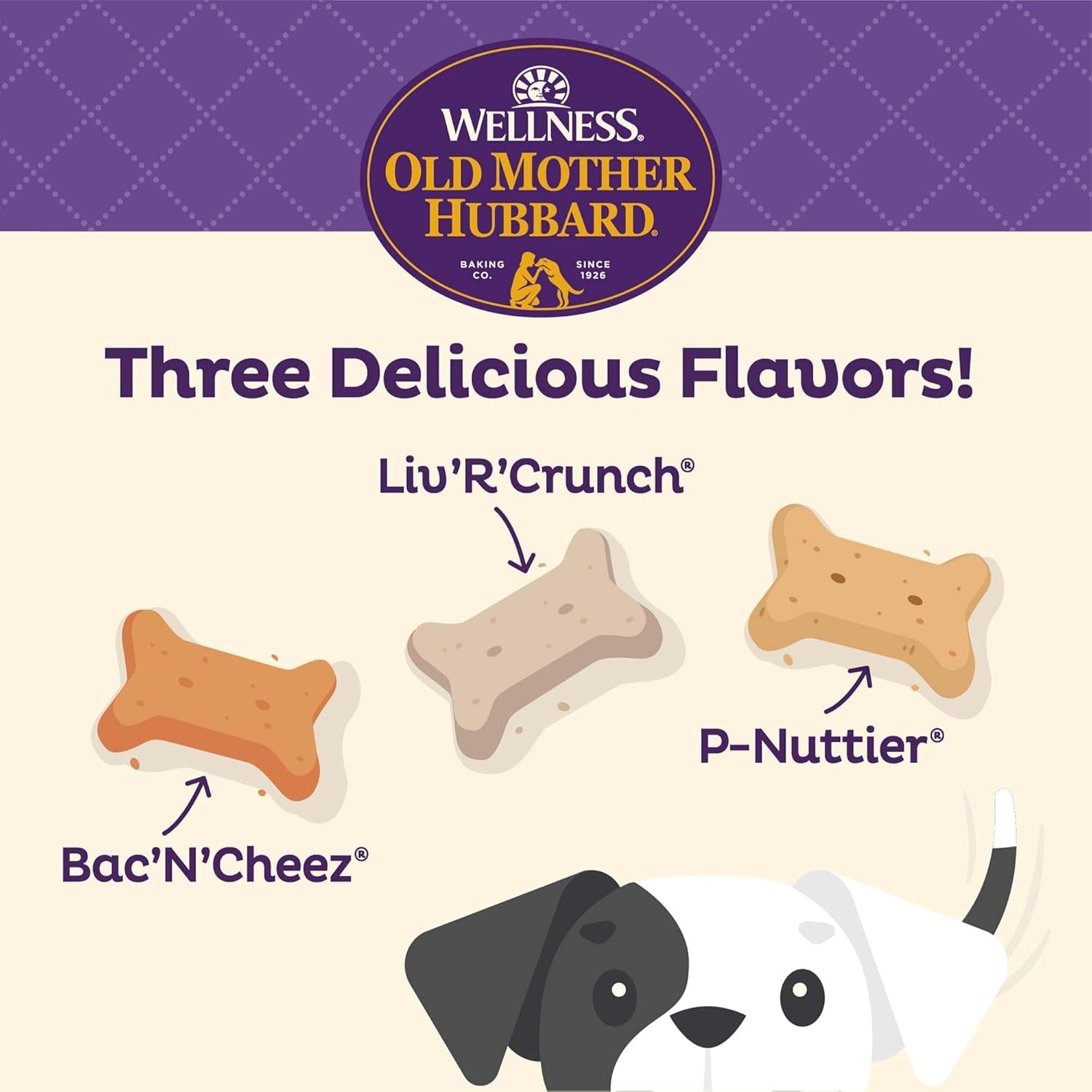 Wellness Savory Mix Dog Biscuits, Natural, Training Treats, Mini Size, (20 Ounce Bag)