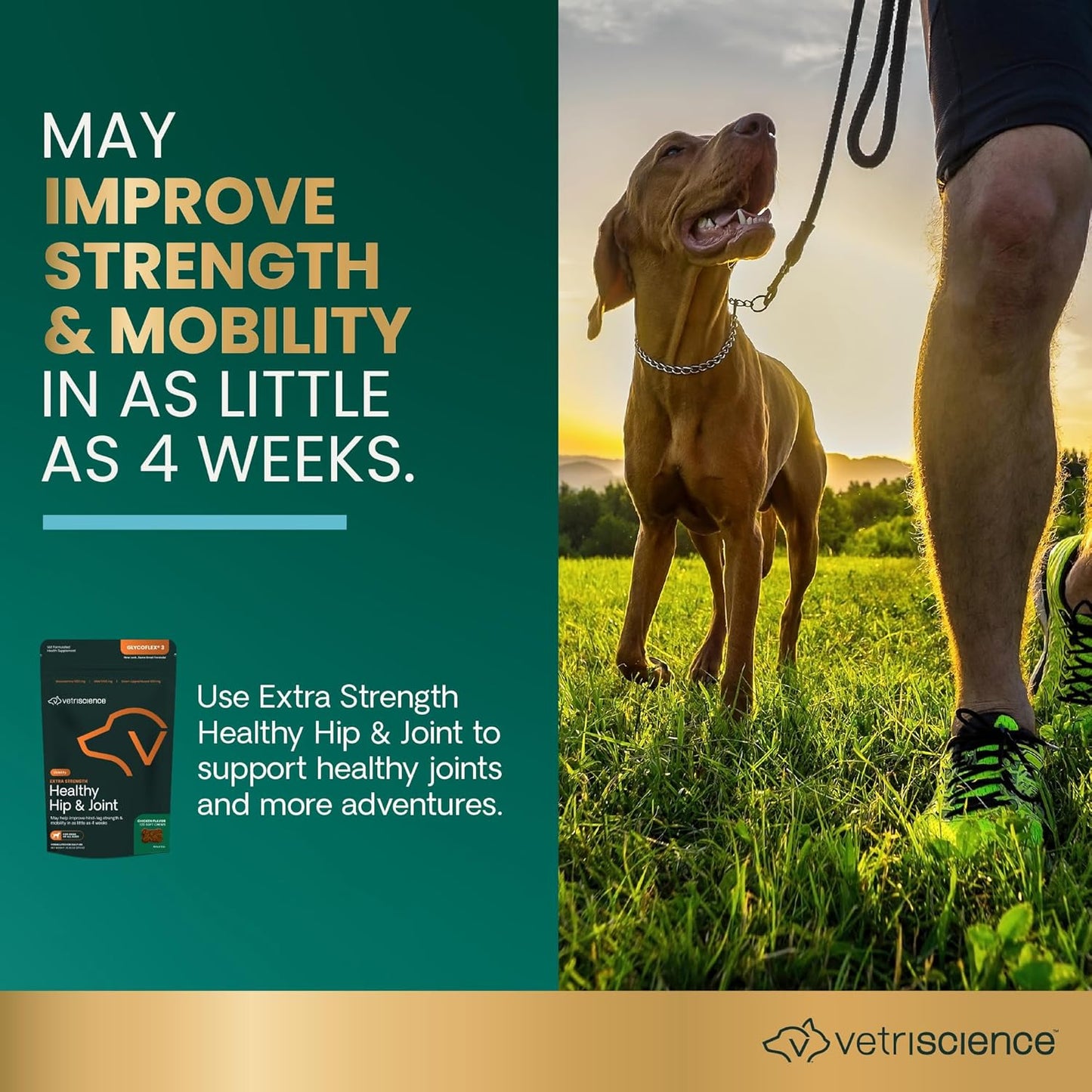 Extra Strength Healthy Hip & Joint Chews, Glycoflex Glucosamine and Green-Lipped Mussel Joint Support Supplement for Dogs, Promote Mobility and Soothe Joint Discomfort, Chicken, 120 Count