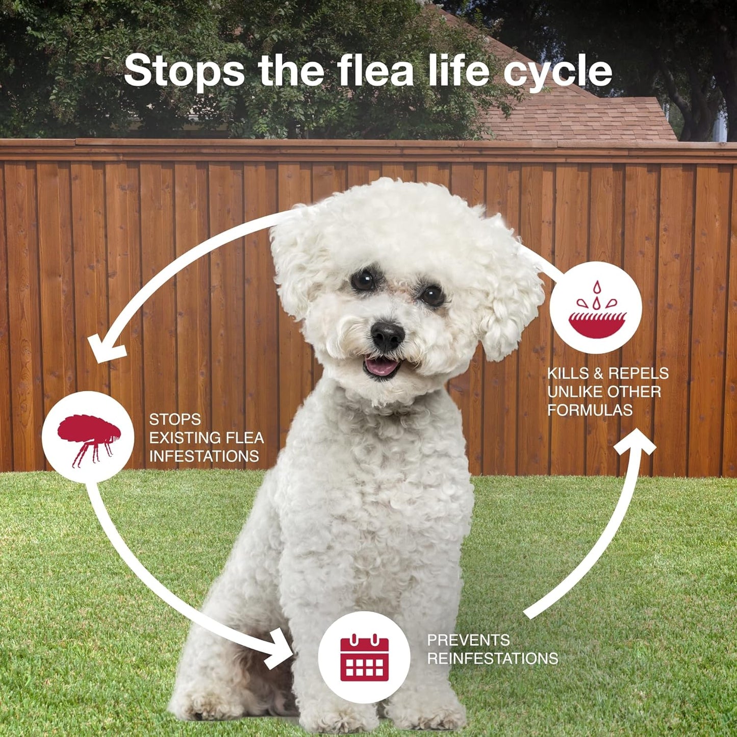 II Small Dog Vet-Recommended Flea, Tick & Mosquito Treatment & Prevention | Dogs 4-10 Lbs. | 2-Mo Supply