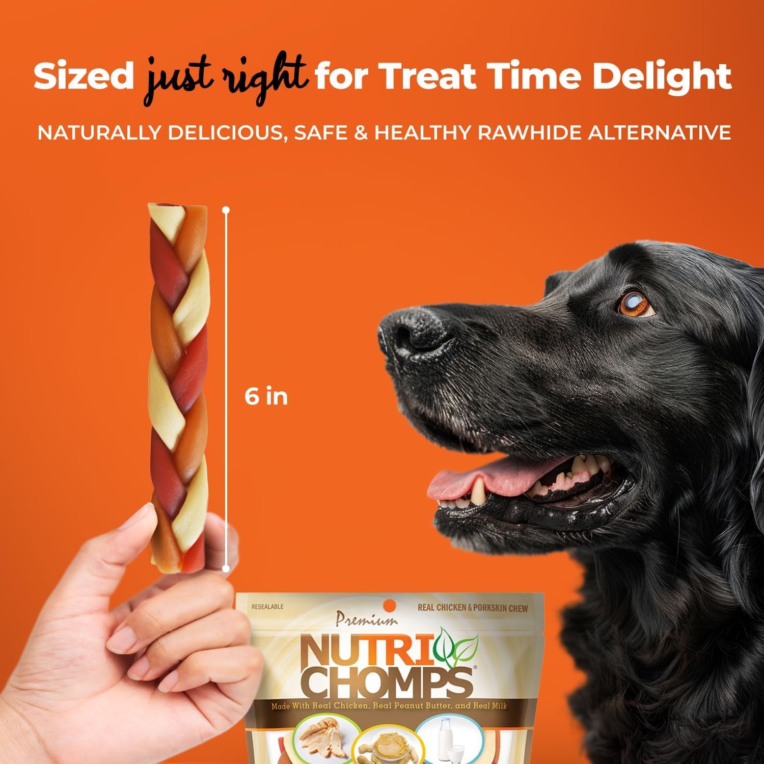 Nutrichomps Dog Chews, 6-Inch Braids, Easy to Digest, Rawhide-Free Dog Treats, Healthy, 10 Count, Real Chicken, Peanut Butter and Milk Flavors