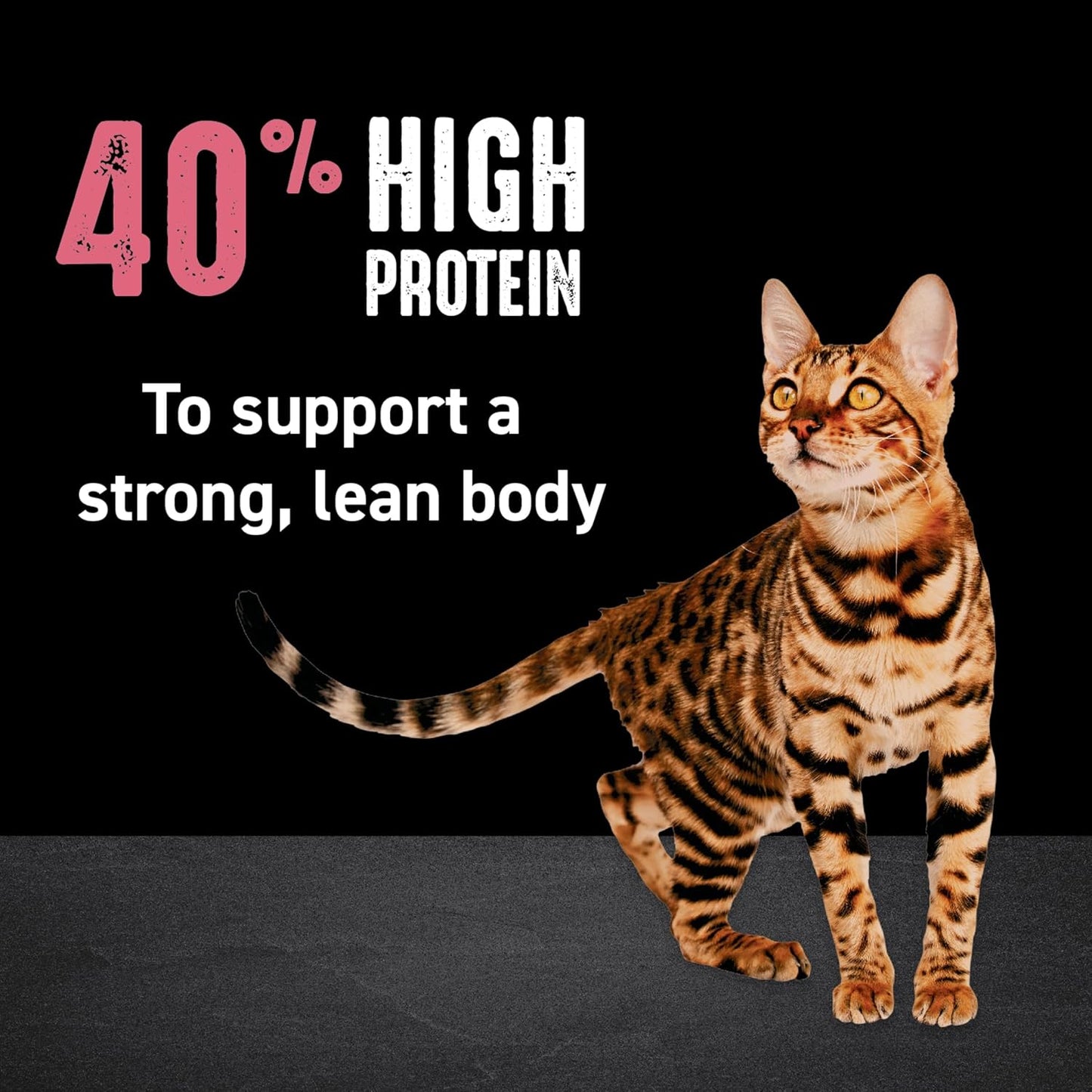 Grain Free Indoor Adult High Protein Natural Dry Cat Food with Protein from Chicken & Salmon, 10 Lb. Bag