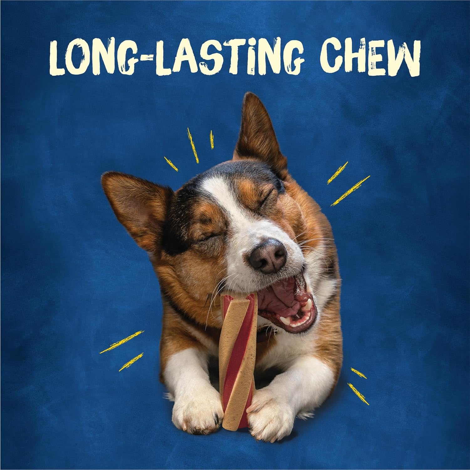 with Beggin’ Twist’D Adult Dog Chew Bone Treats - 10 Ct. Pouch