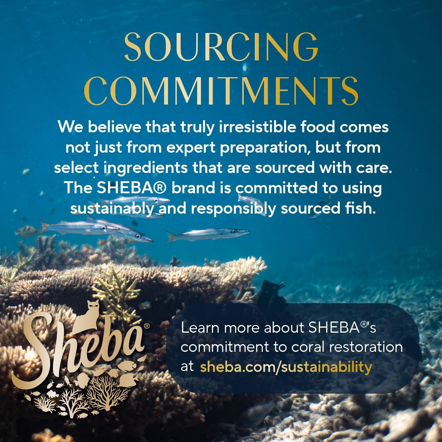 Perfect Portions Wet Cat Food Cuts in Gravy Variety Pack, with Sustainable Salmon, Tender Trout Entree, and with Sustainable Tuna, 2.6 Oz. Twin-Pack Trays (24 Count, 48 Servings)