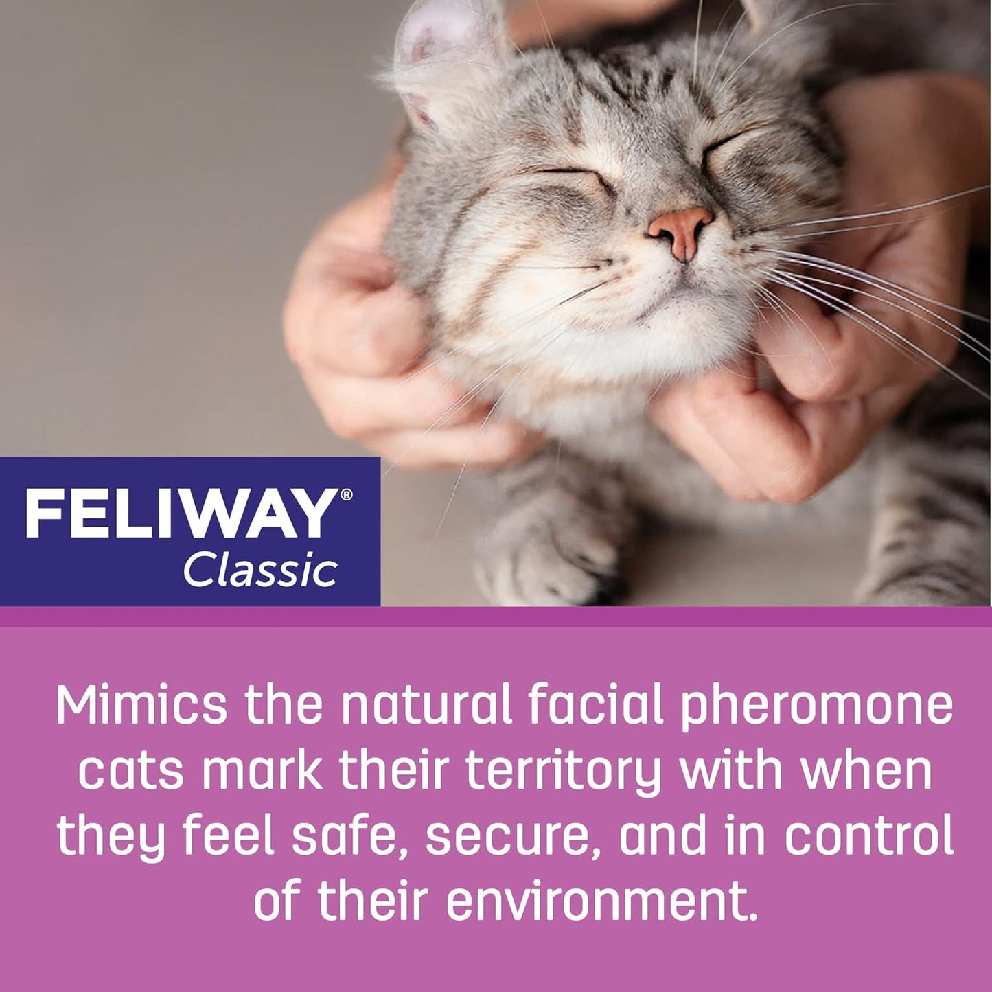 Classic 30 Day Cat Calming Plug in Pheromone Diffuser Starter Kit, 48Ml - Helps Reduce Common Signs of Stress in Cats & Kittens, Enhanced Calming