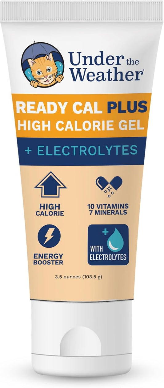 Pet Electrolytes Ready Cal plus Gel for Cats | Vet-Formulated High-Calorie Supplement for Cats & Kittens | Promotes Weight Gain & Boosts Energy for Sick Felines | 3.5 Oz Tube Pack