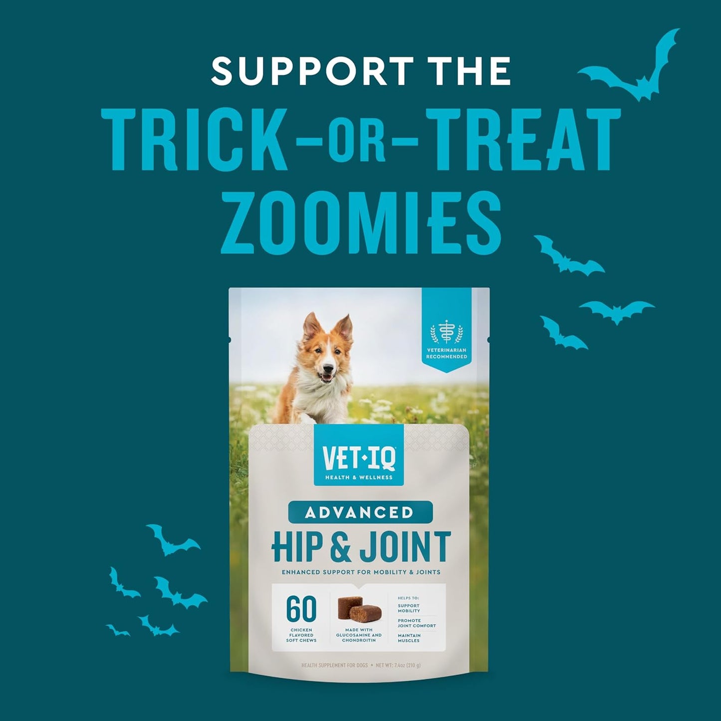 Advanced Hip & Joint Chews for Dogs, 60 Count, Chicken Flavored Supplements Made with Glucosamine, Omega 3’S, Chondroitin, MSM & Green Lipped Mussel, Increases Mobility & Maintains Muscles