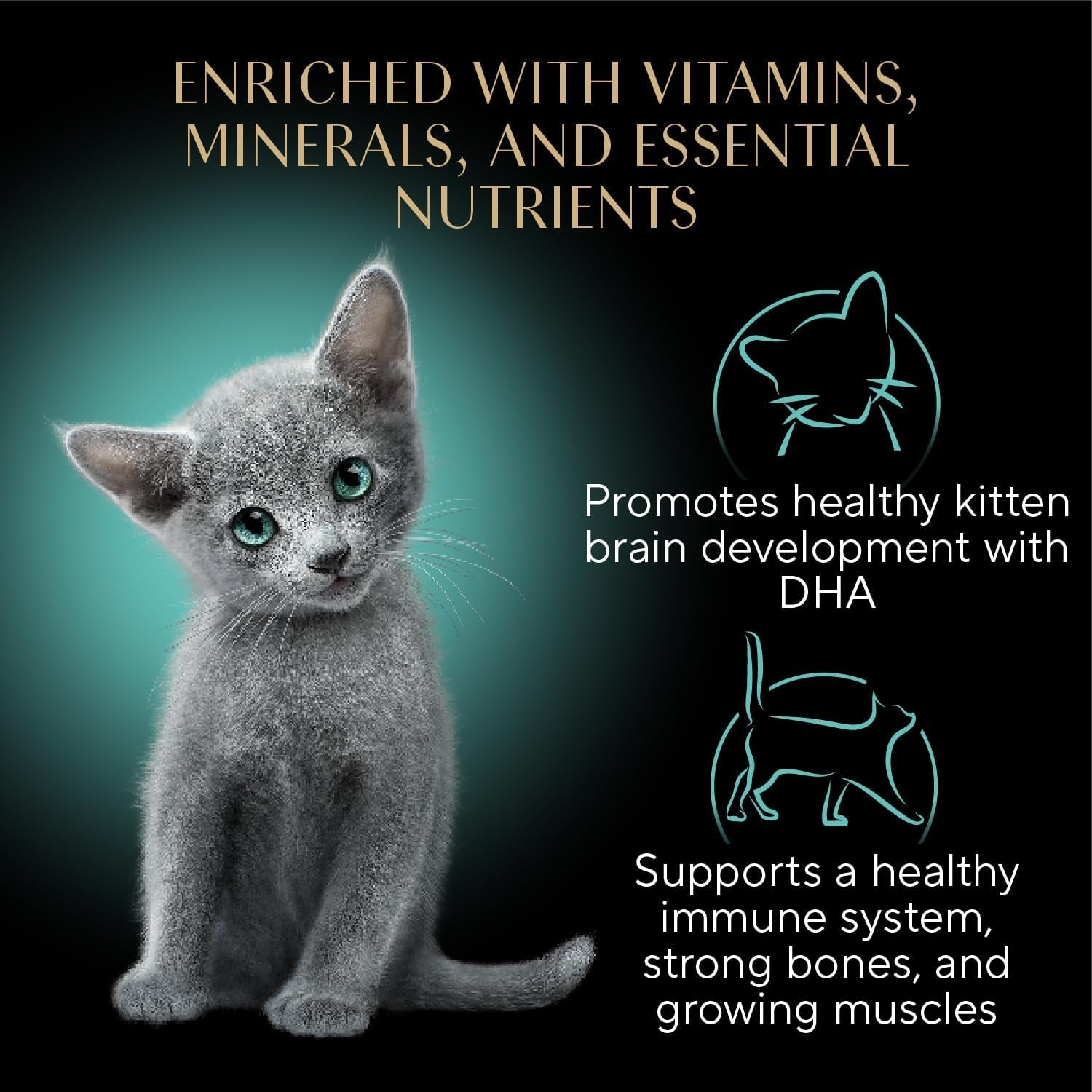 Perfect Portions Kitten Wet Cat Food Pate Chicken Entree, Salmon Entree, and Turkey Entree, 2.6 Oz. Twin-Pack Trays (24 Count, 48 Servings)