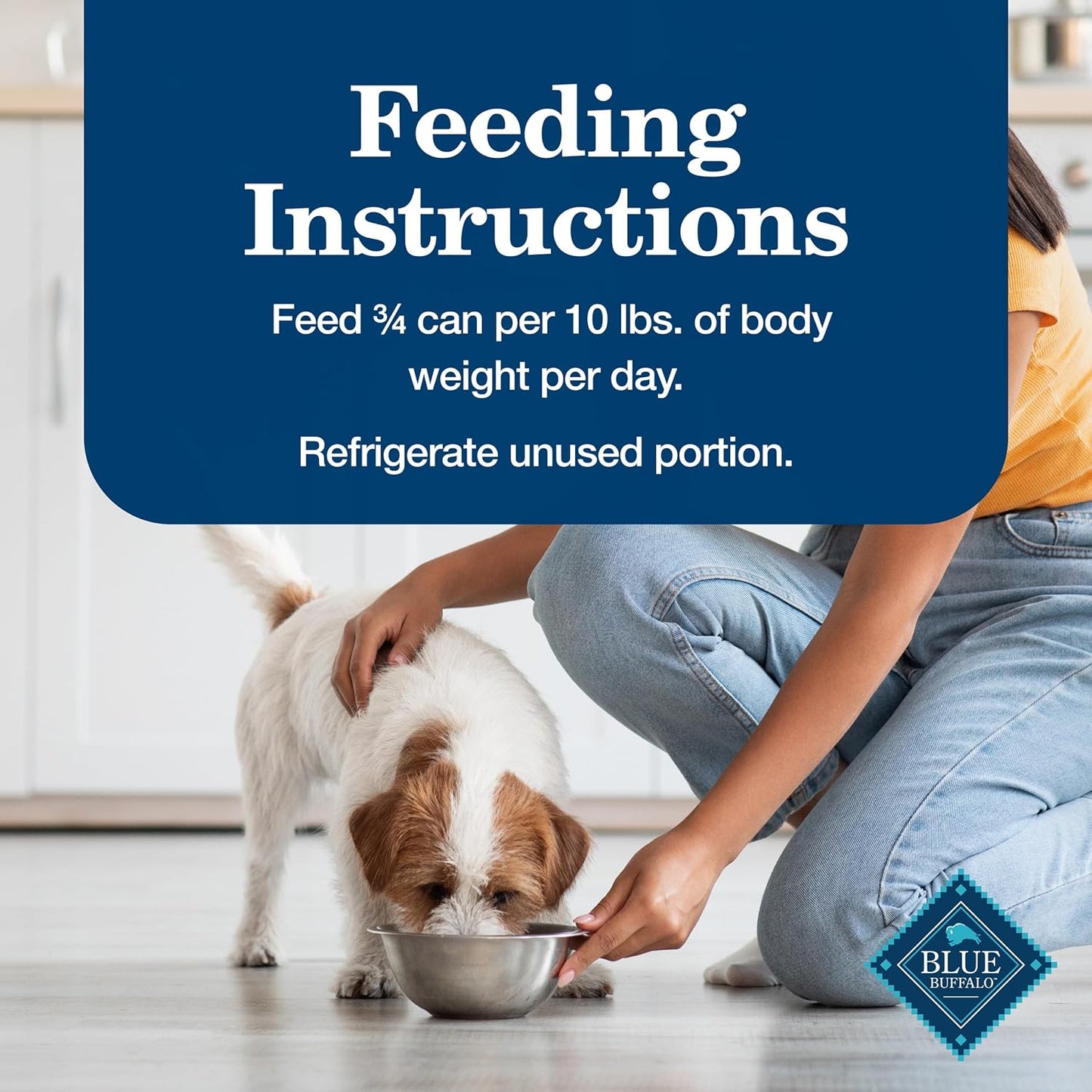 Homestyle Recipe Senior Wet Dog Food, Made with Natural Ingredients, Chicken Dinner with Garden Vegetables, 12.5-Oz Cans (12 Count)