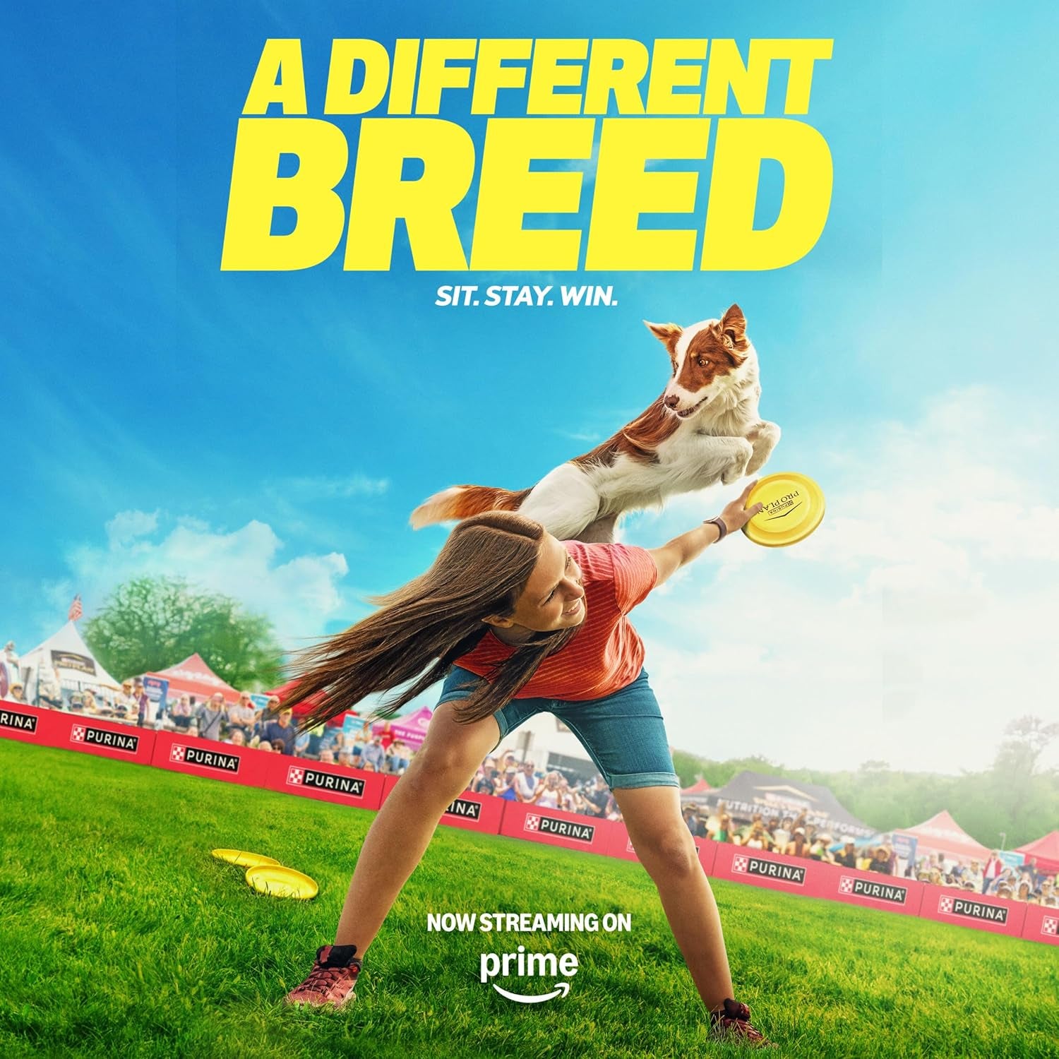 Sensitive Skin and Stomach Dog Food Dry, Adult Salmon & Rice Formula, Digestive Health - 4 Lb. Bag