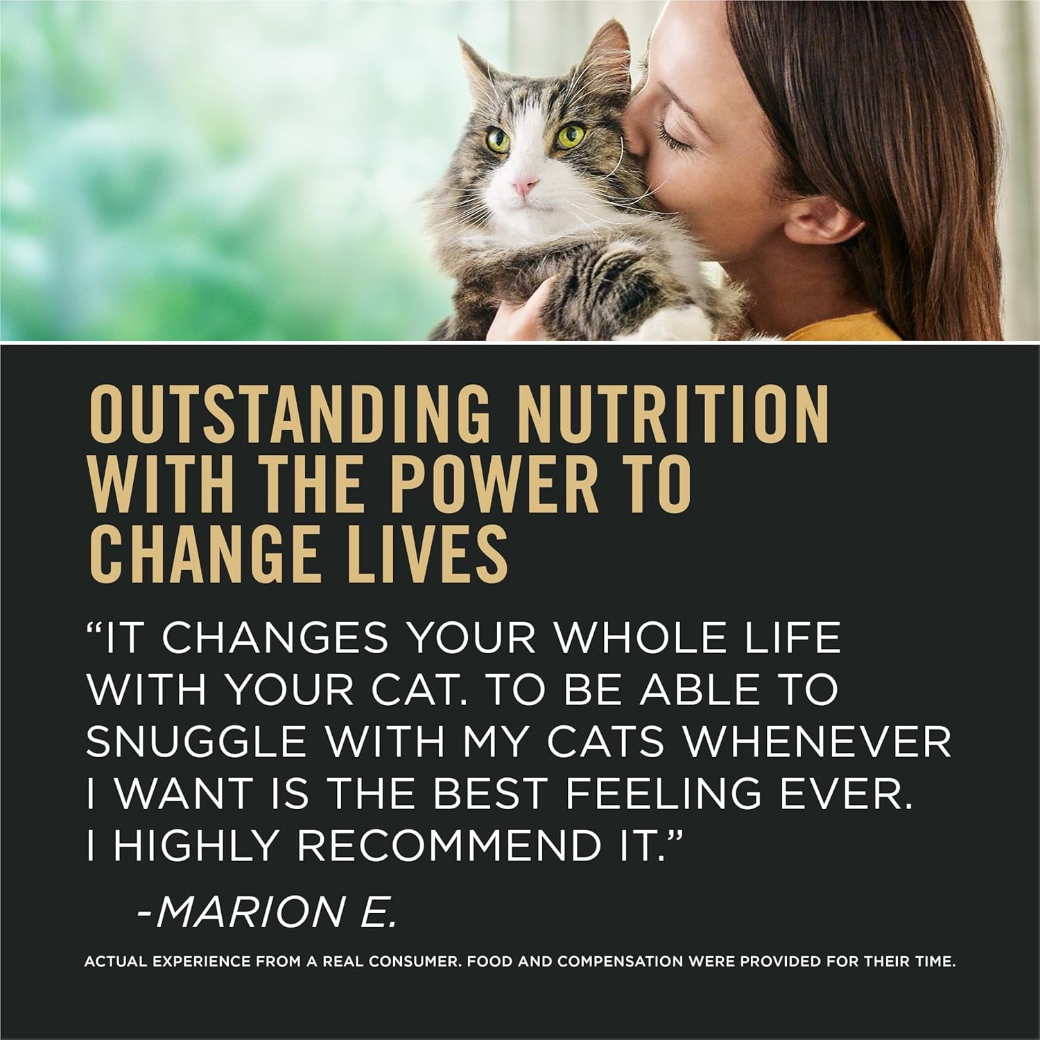 Indoor Cat Food Liveclear Cat Allergen Reducing Turkey and Rice Formula - 5.5 Lb. Bag