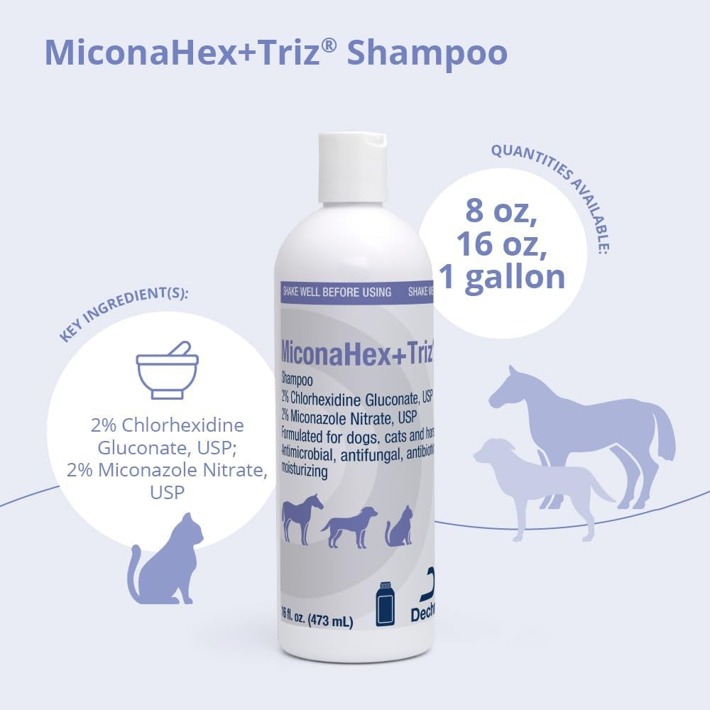 Shampoo for Dogs, Cats and Horses, 16 Oz