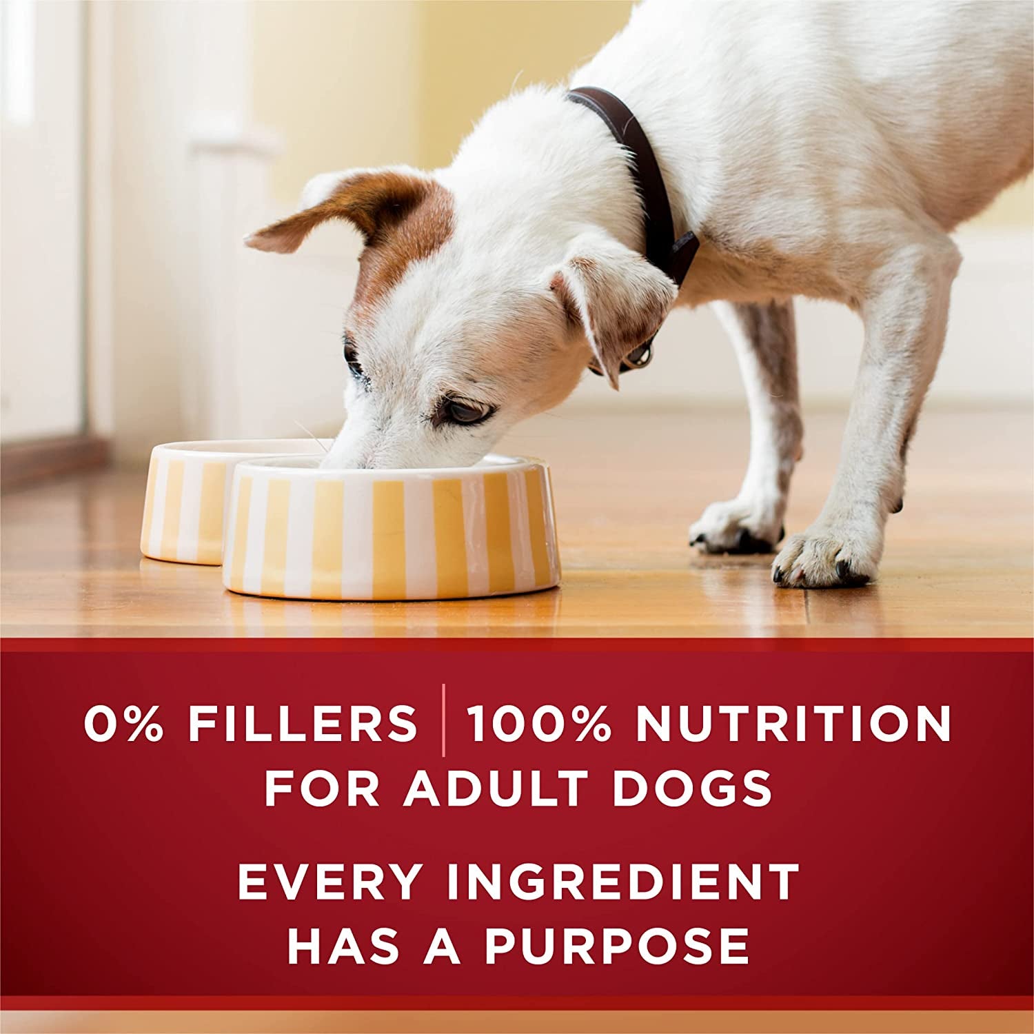 High Protein Wet Dog Food True Instinct Tender Cuts in Dog Food Gravy with Real Beef and Wild-Caught Salmon - (Pack of 12) 13 Oz. Cans