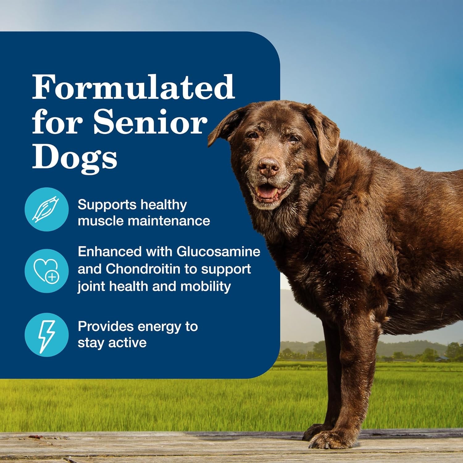 Homestyle Recipe Senior Wet Dog Food, Made with Natural Ingredients, Chicken Dinner with Garden Vegetables, 12.5-Oz Cans (12 Count)