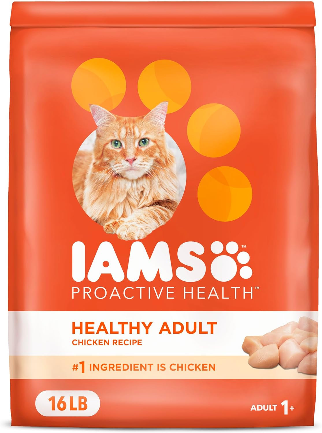 Proactive Health Adult Healthy Dry Cat Food with Chicken, 16 Lb. Bag