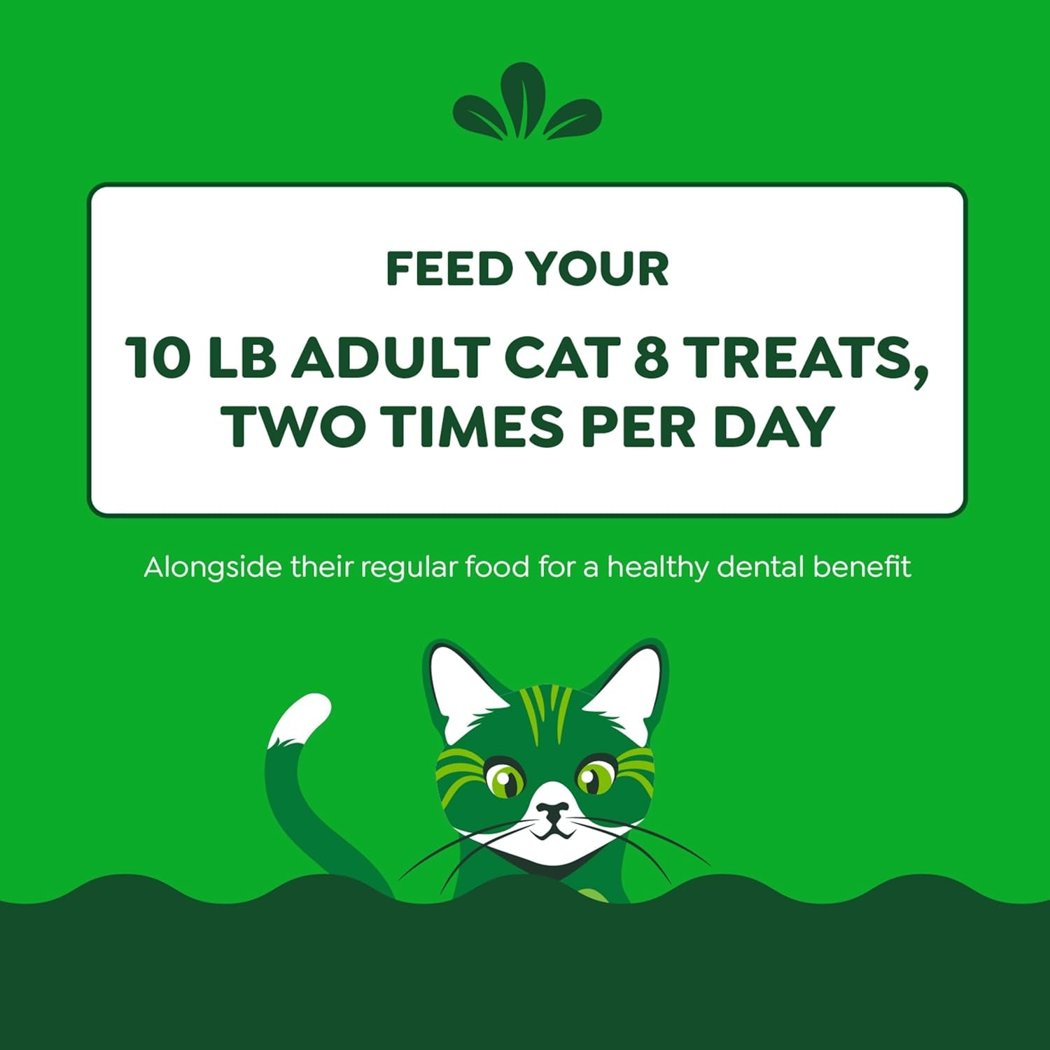 Feline Adult Dental Cat Treats, Catnip Flavor, 9.75 Oz. Tub
