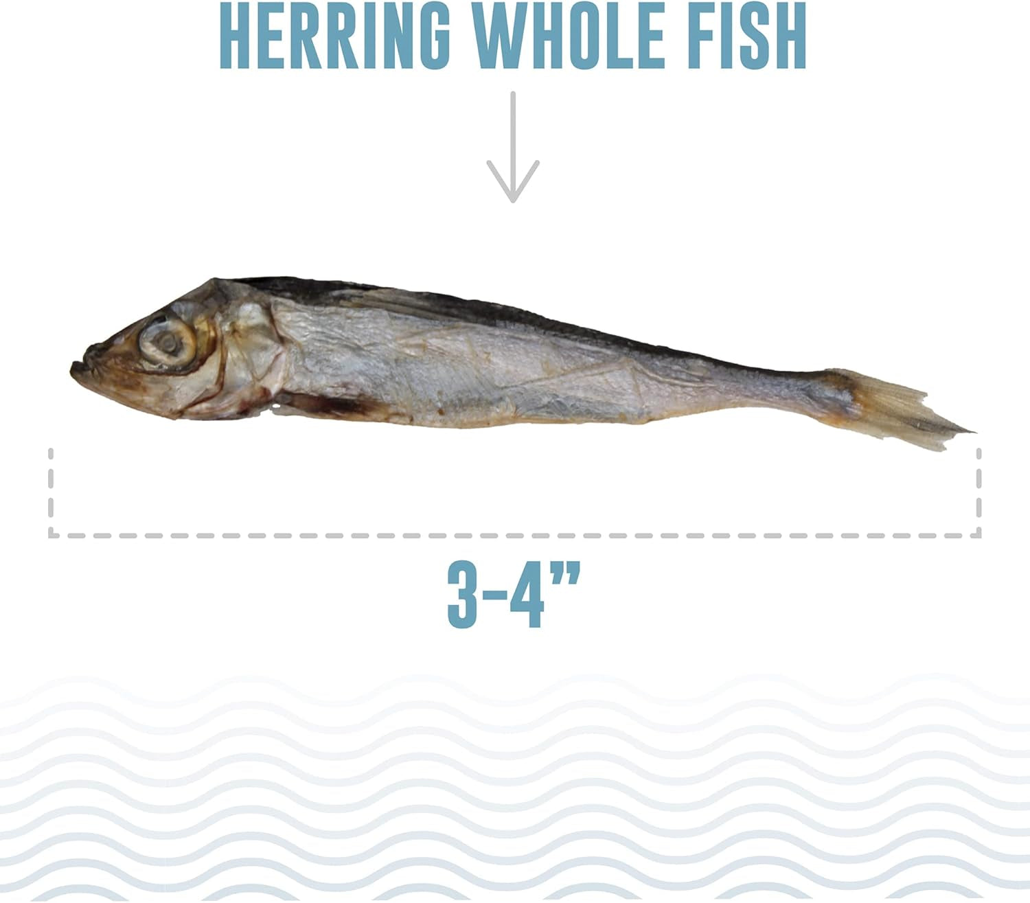 Whole Fish Herring - 3Oz Bag - Dog Treats, Pure Wild-Caught & Air-Dried, Single Ingredient Snack, Pet Chew, Just the Fish Nothing Else