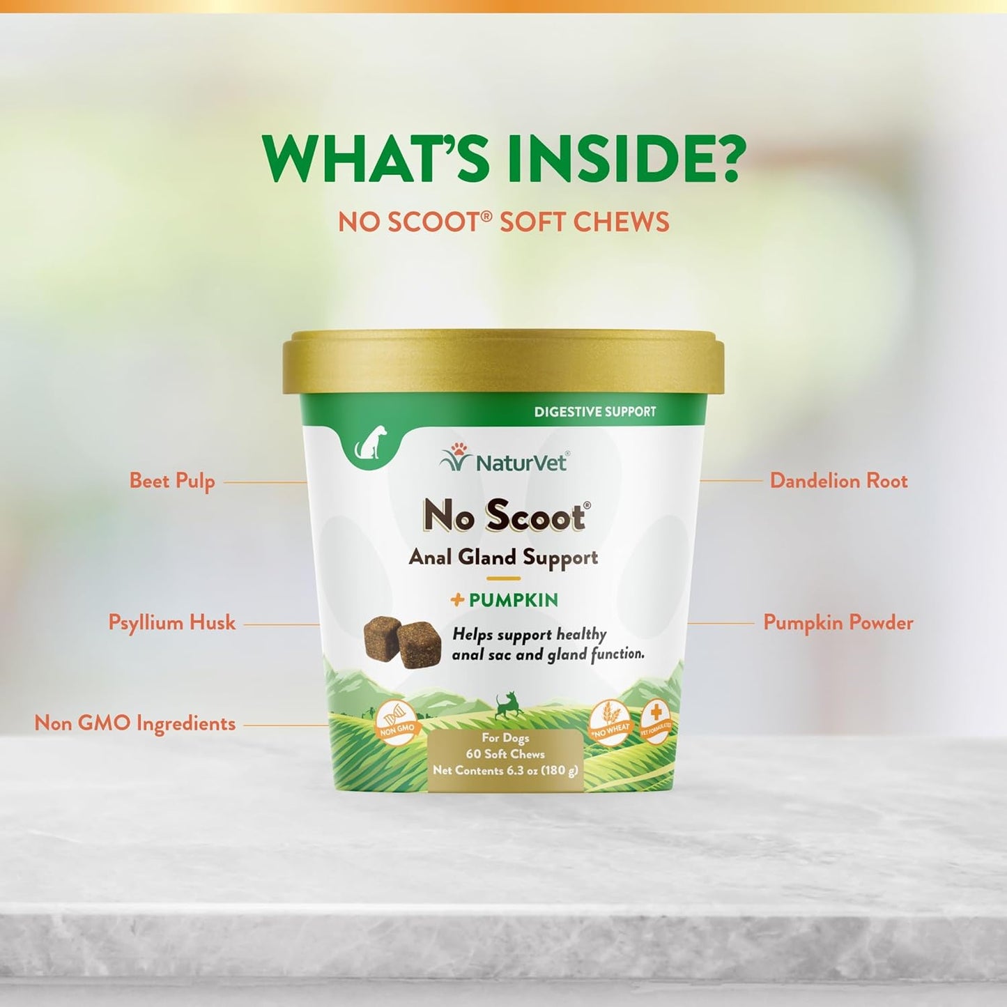 - No Scoot for Dogs - 60 Soft Chews - plus Pumpkin - Supports Healthy Anal Gland & Bowel Function - Enhanced with Beet Pulp & Psyllium Husk