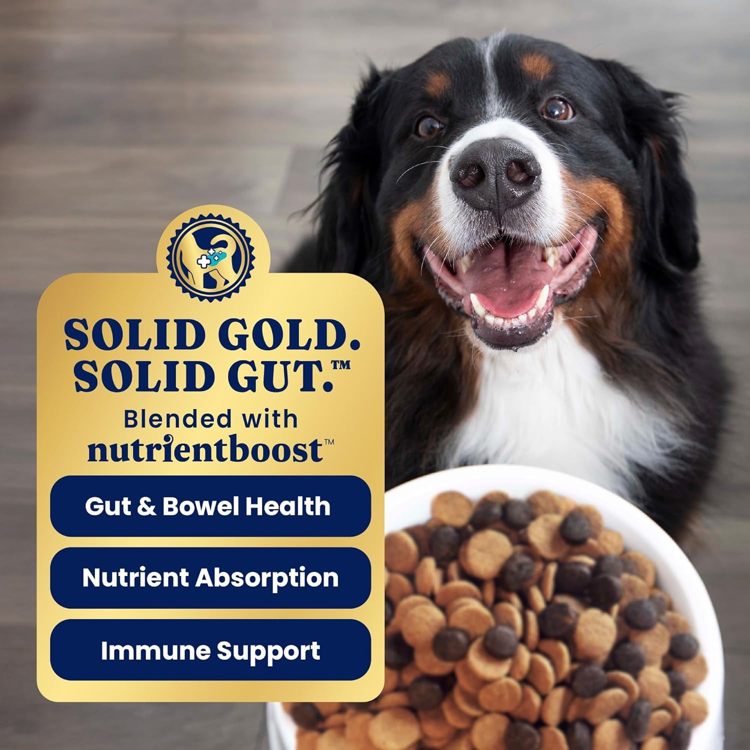 Salmon Dog Food for Sensitive Stomachs – Grain Free & Gluten Free Kibble W/Probiotics to Support Gut Health & Digestion - Sensitive Stomach Dog Food for All Ages – Nutrientboost™ – 22 LB
