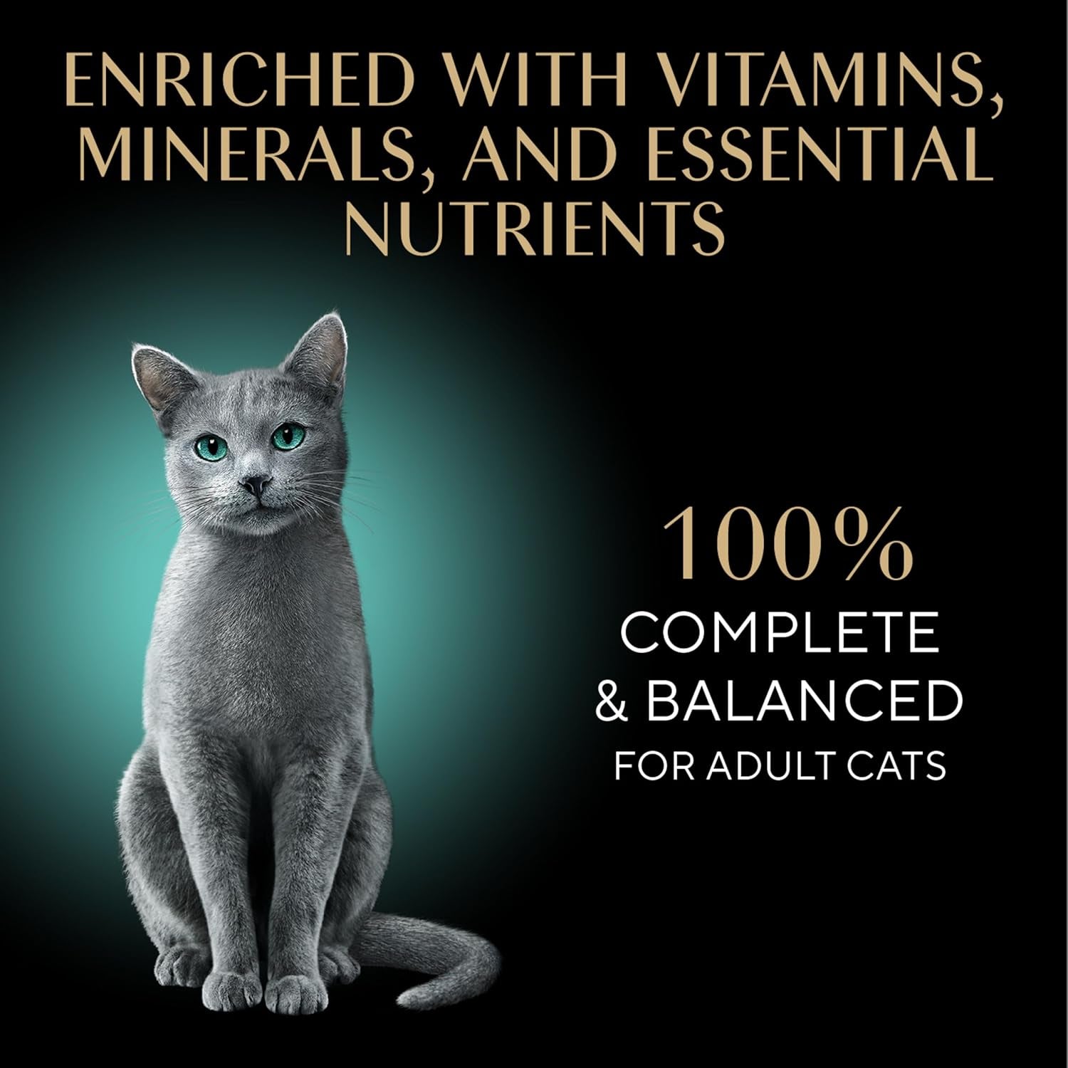Perfect Portions Wet Cat Food Pate Savory Chicken Entree and with Sustainable Salmon Variety Pack, 2.6 Oz. Twin-Pack Trays (6 Count, 12 Servings) (Pack of 2)