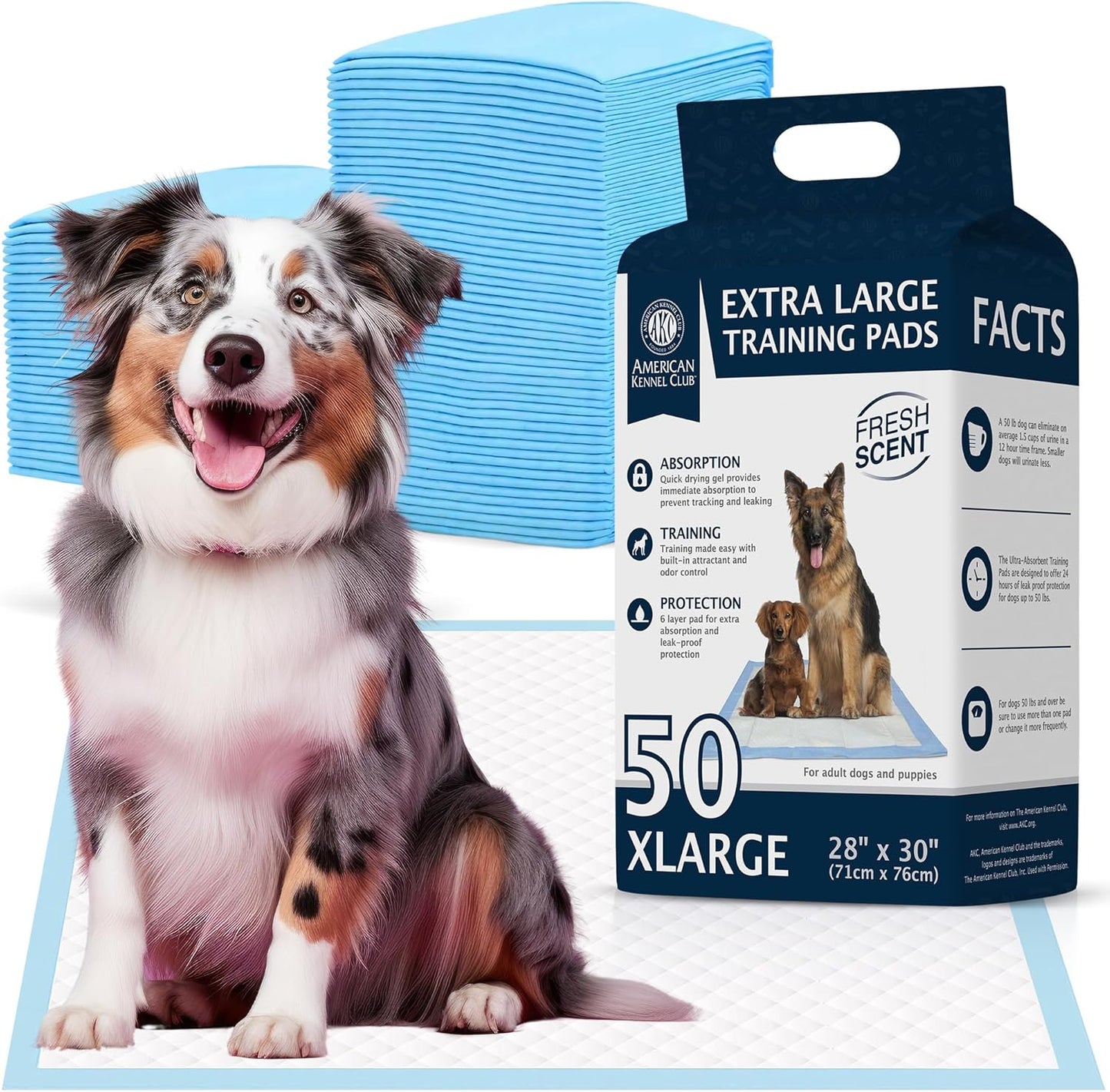 Scented Puppy Training Pads with Ultra Absorbent Quick Dry Gel – 28 X 30 Pee Pads for Dogs - Fresh Scented - 50 Count, XL