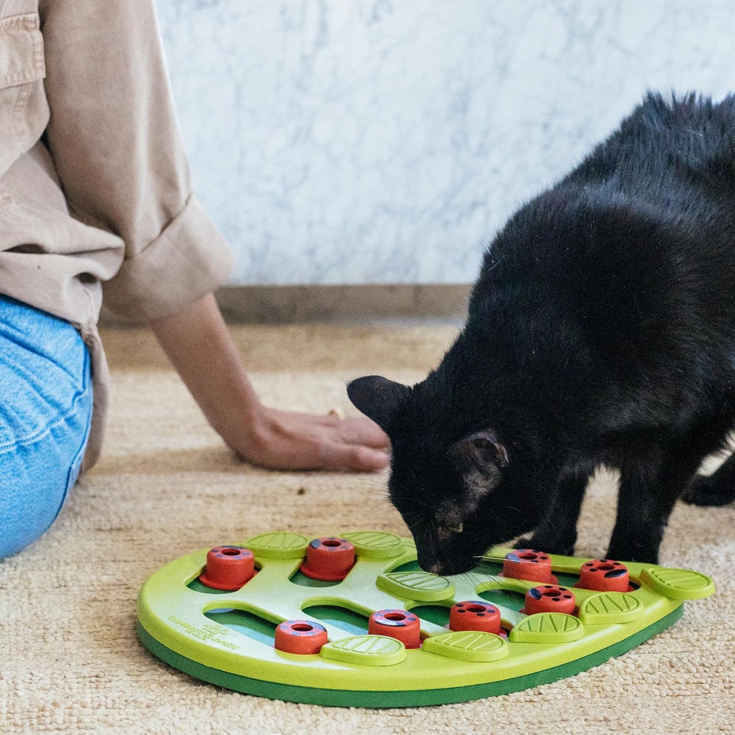 Buggin' Out Puzzle & Play, Interactive Treat Puzzle Cat Toy 13 in X 9.5 In, Green