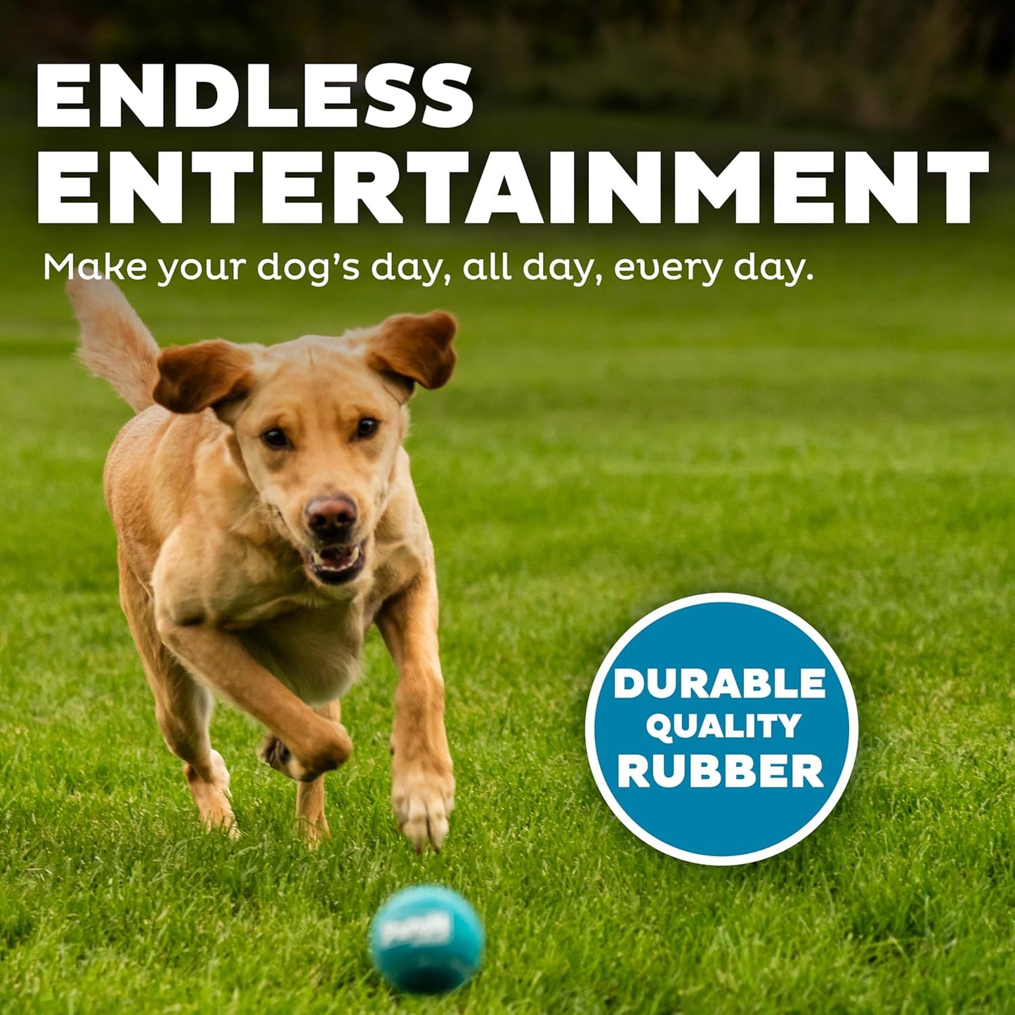 Squeaker Ballz, Interactive Dog Toy, Squeaky Tennis Ball, Durable Dog Toy for Fetch, Multi-Pack of 4, Medium