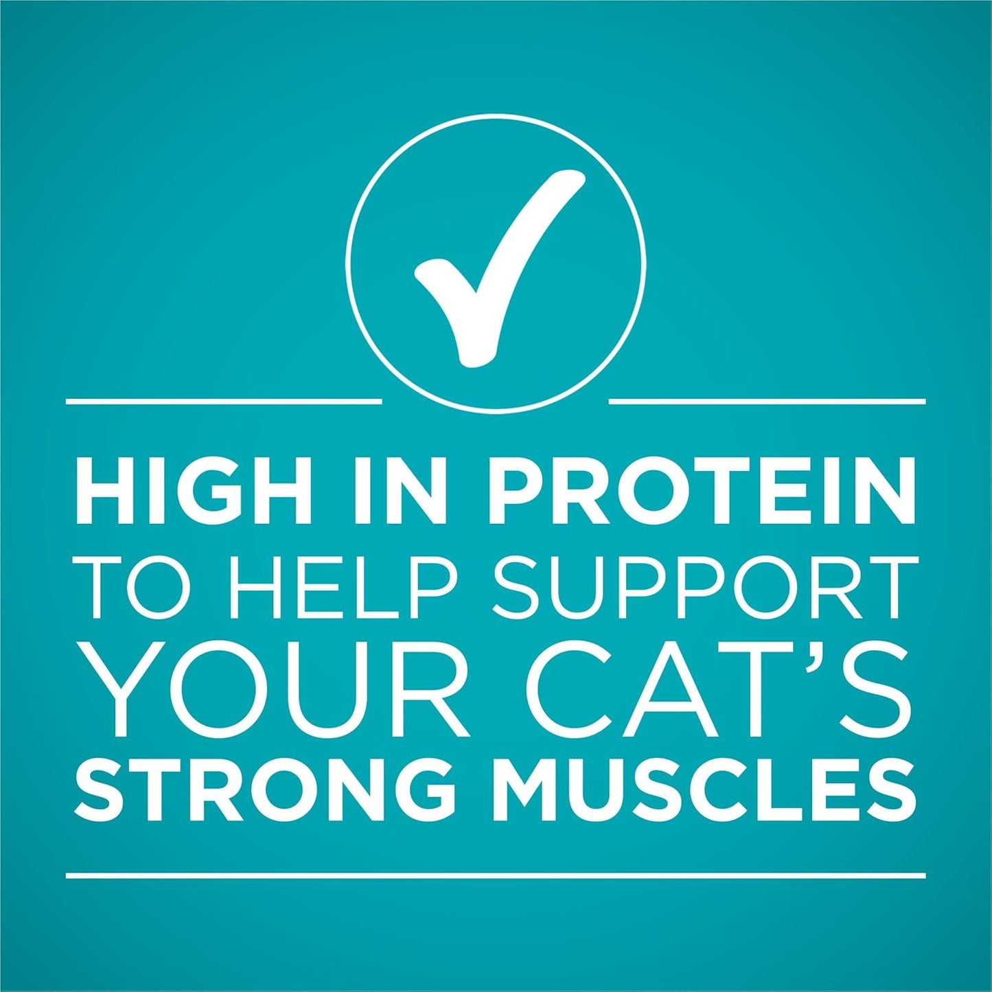 Natural, High Protein Cat Food Variety Pack, Turkey, Chicken and Tuna Recipes - (2 Packs of 12) 3 Oz. Cans