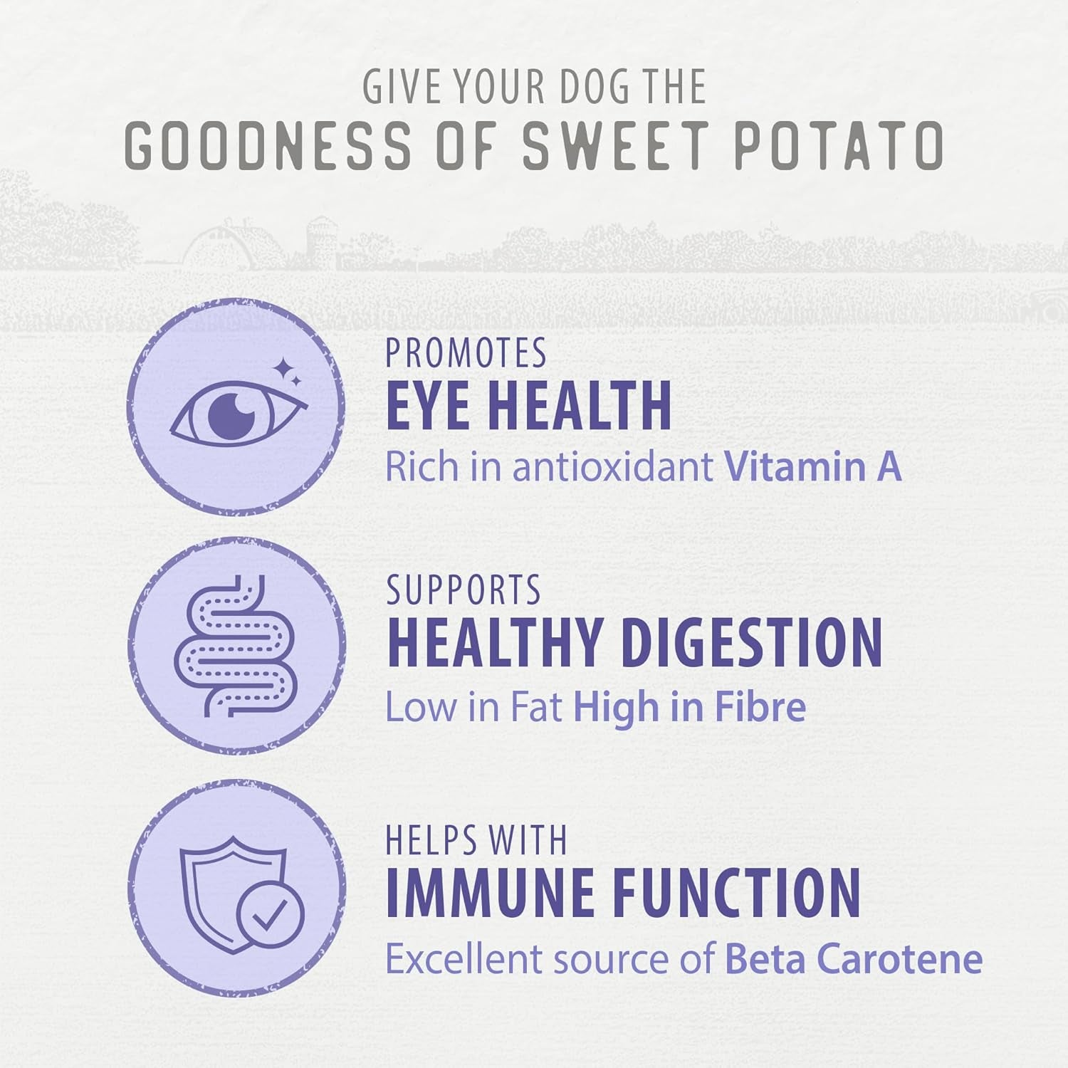 Sweet Potato Chews for Dogs 9.3 OZ