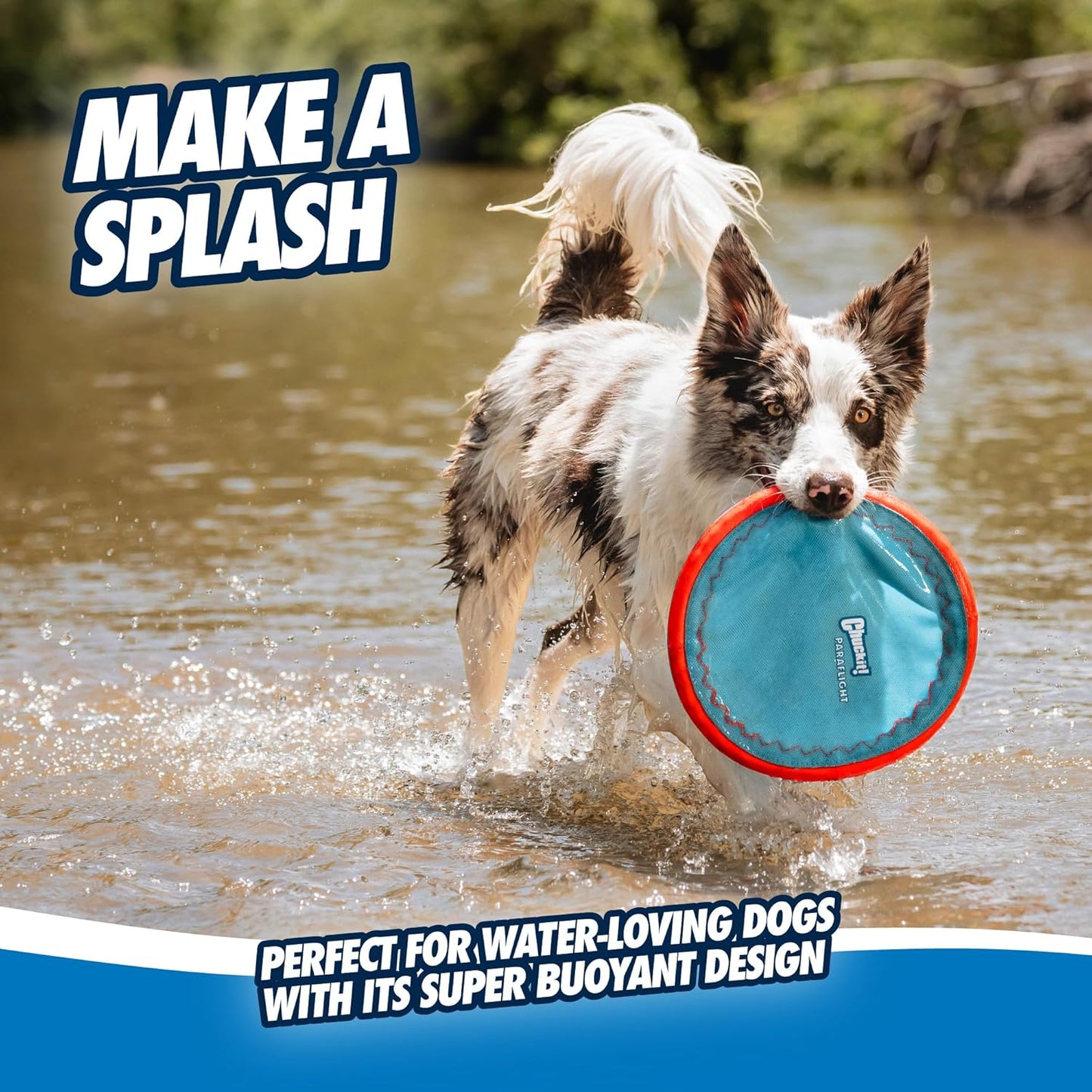 Paraflight Flying Disc Dog Toy - Water Floating Flyer - Durable Nylon Construction with Soft Rubber Edges - for Medium and Large Dogs - Size Large - 9.75" L X 9.75" W - Pack of 1