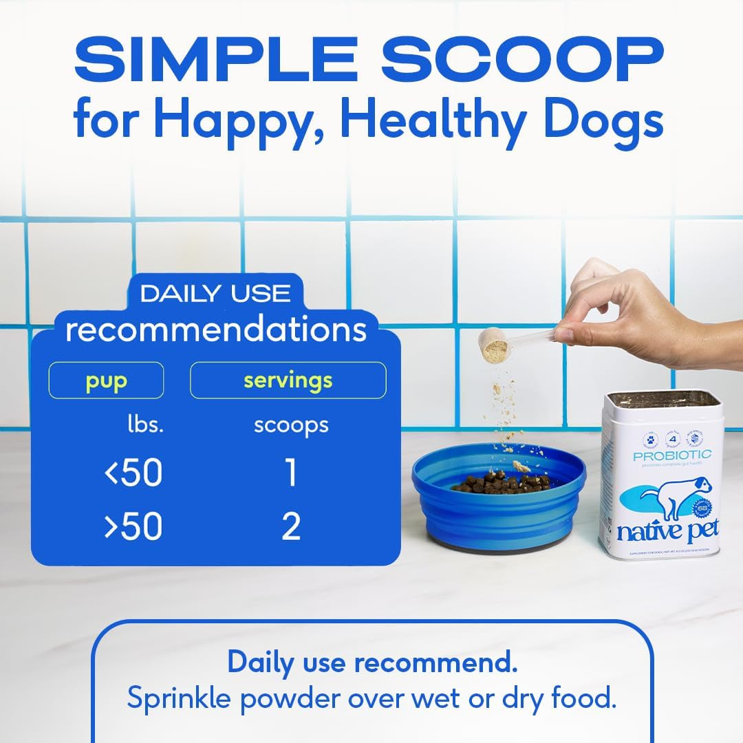 Probiotics for Dogs - Dog Probiotics Powder for Digestive Health, Gut Support, & Immune Boost – Vet-Formulated Powder for Maximum Potency with Digestive Enzymes & Prebiotics - 60 Scoops