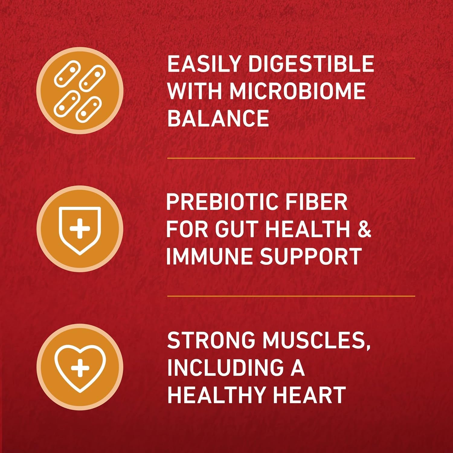 Chicken and Rice Formula Dry Dog Food - 16.5 Lb. Bag