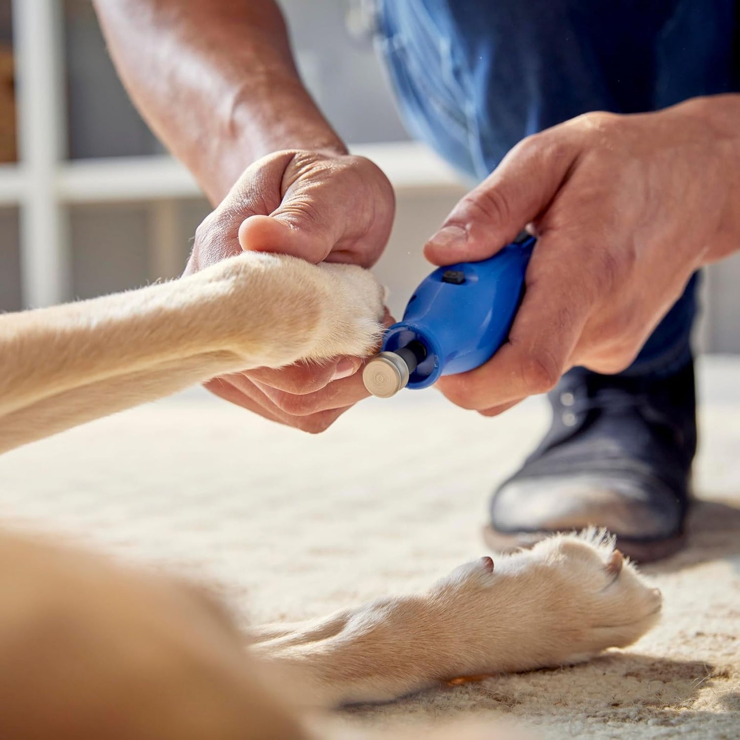 416HP Diamond-Coated Rotary Nail Grinder Bit - Ideal for Dog Nail Grooming, Gentle with Precise Control