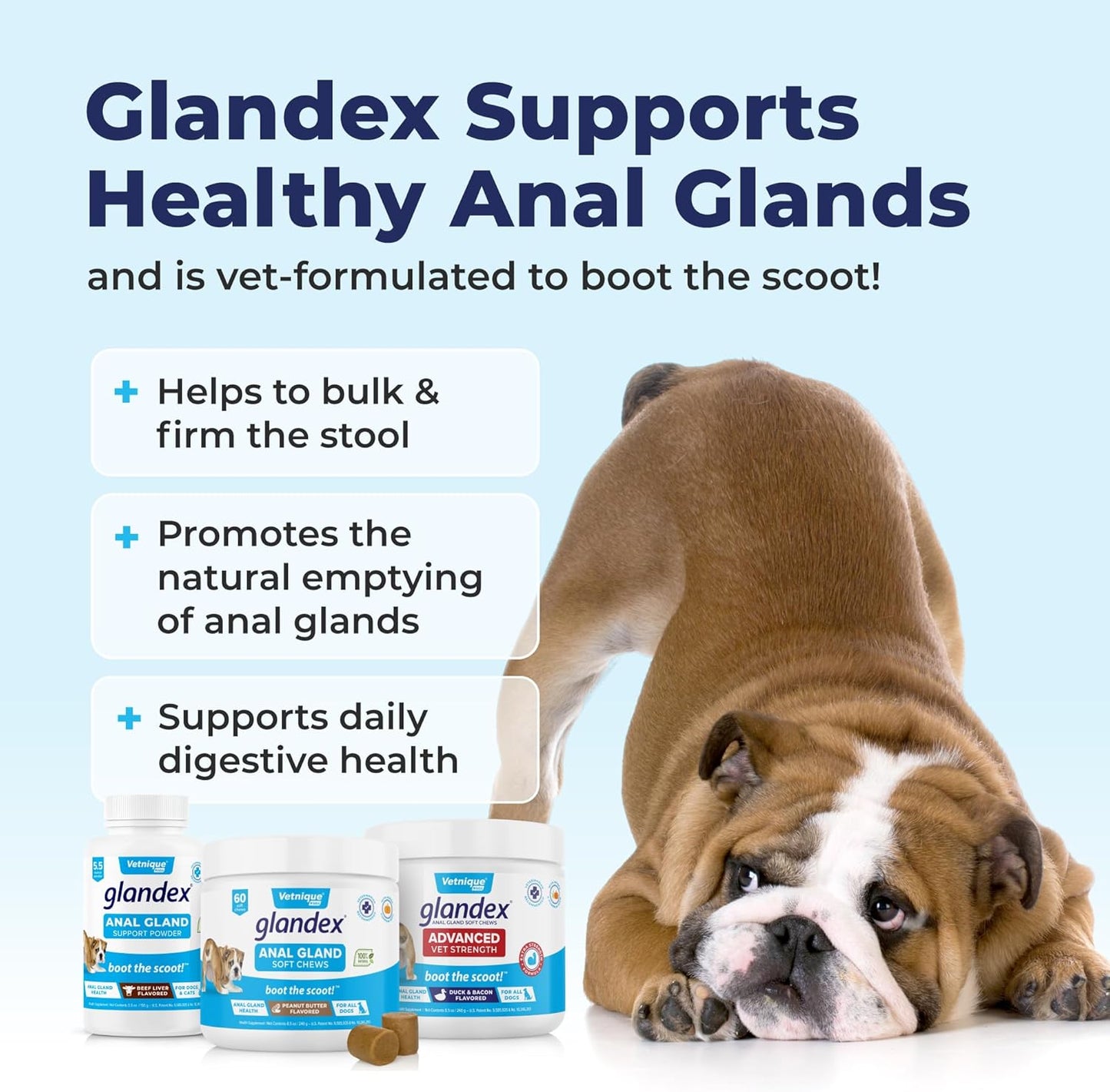 Glandex Anal Gland Soft Chew Treats with Pumpkin for Dogs Digestive Enzymes, Probiotics Fiber Supplement for Dogs Boot the Scoot (Advanced Strength Duck/Bacon Chews (Veg), 30 Count)