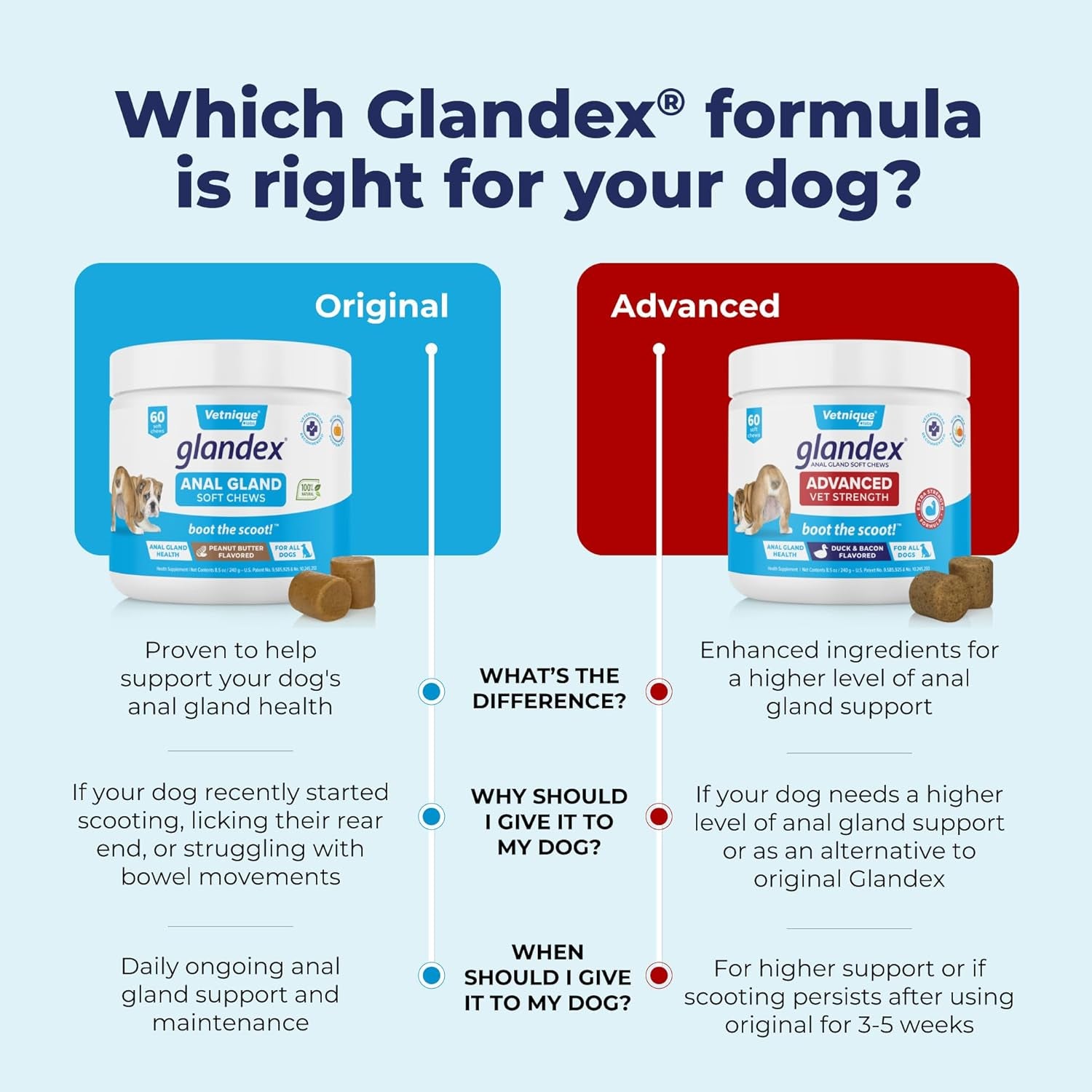 Glandex Anal Gland Soft Chew Treats with Pumpkin for Dogs Digestive Enzymes, Probiotics Fiber Supplement for Dogs Boot the Scoot (Peanut Butter Chews, 120 Count)