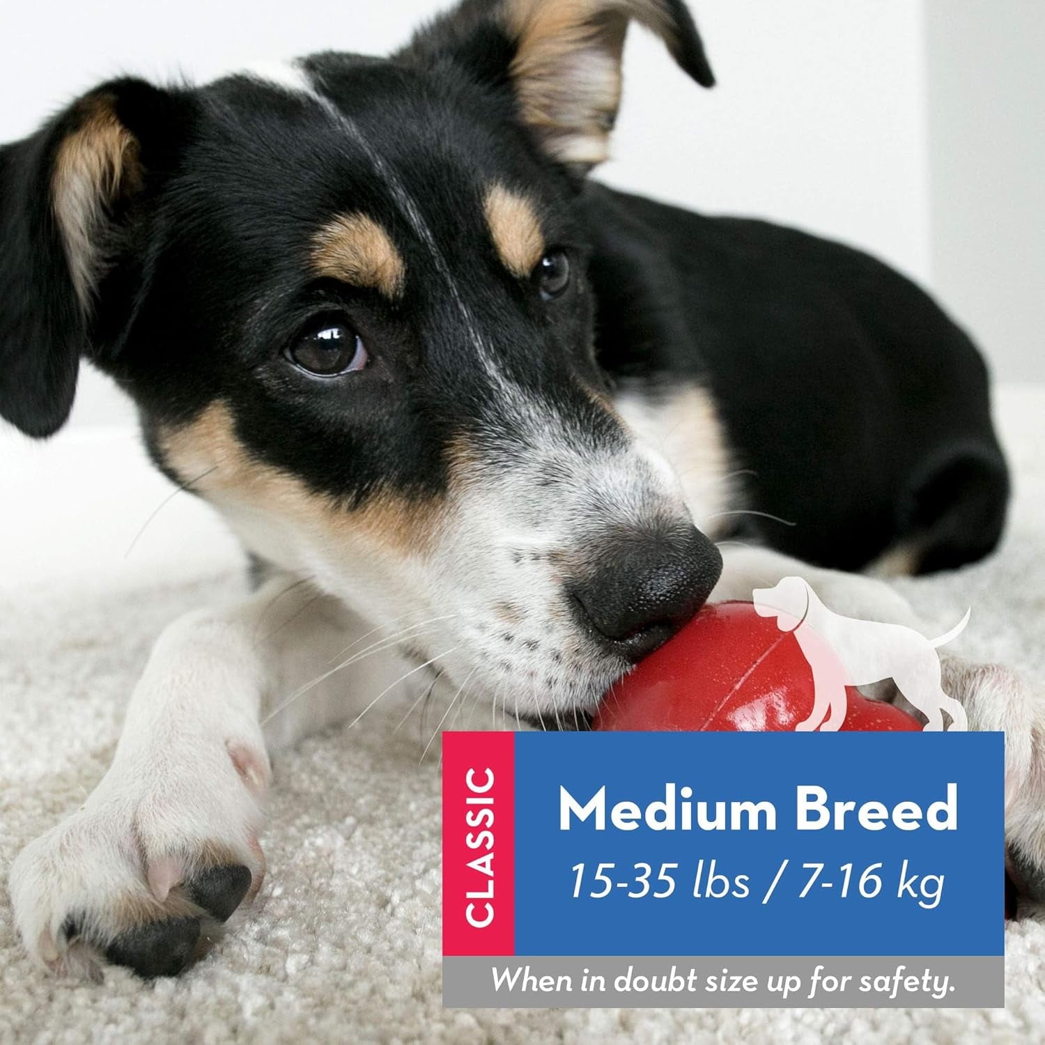 Classic Stuffable Dog Toy - Fetch & Chew Toy for Dogs - Treat-Filling Capabilities & Erratic Bounce for Extended Play Time - Durable Natural Rubber Material - for Medium Dogs (Pack of 2)