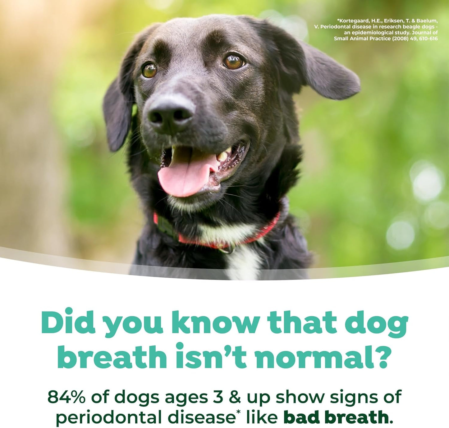 Fresh Breath Water Additive for Dogs with Glucosamine, Hip and Joint Support for Dogs, Breath Freshener & Teeth Cleaning Solution, 33.8Oz.