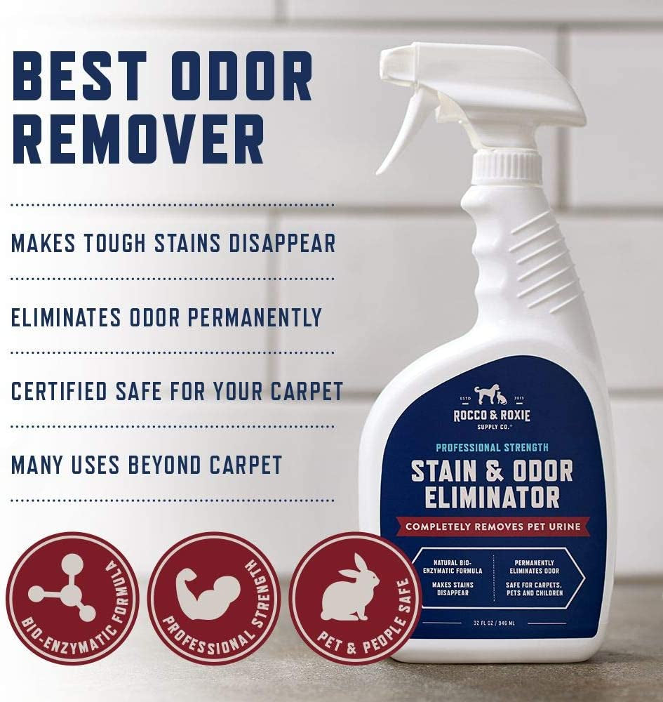 Stain & Odor Eliminator for Strong Odor - Enzyme Pet Odor Eliminator for Home - Carpet Stain Remover for Cats & Dog Pee - Enzymatic Cat Urine Destroyer - Carpet Cleaner Spray