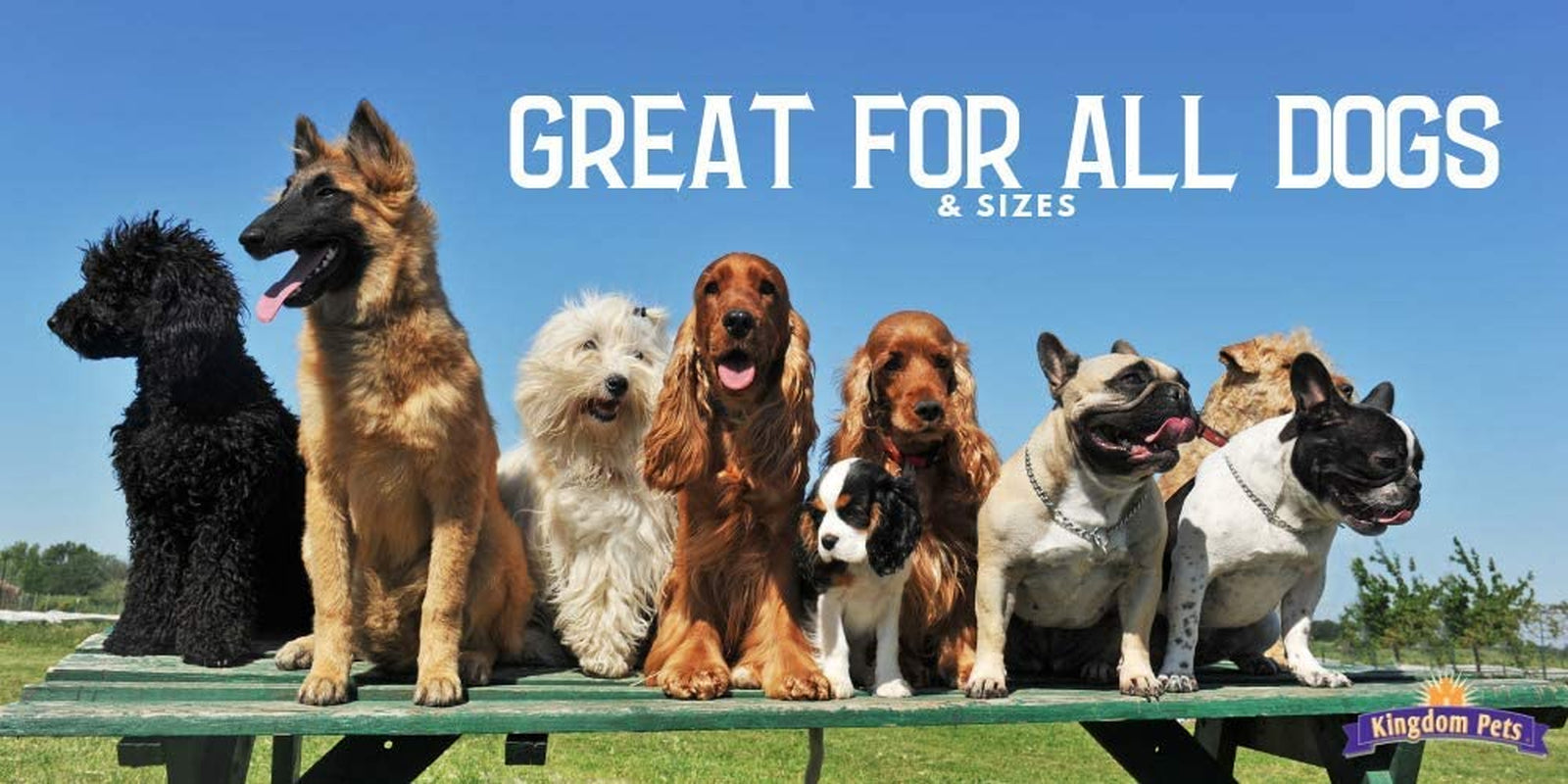 Duck Jerky & Sweet Potato Dog Treats with Only 4 Ingredients and No Fillers, 3 Pound Bag