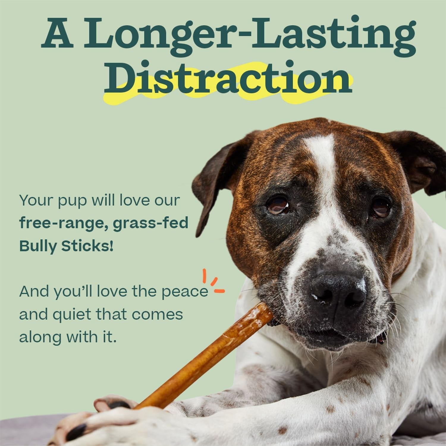 Bully Sticks Dog Treats - Chew Sticks for Dogs - Long-Lasting Dog Chew Treats - Made with Free-Range, Grass-Fed Beef - 6" Sticks - 5Pk