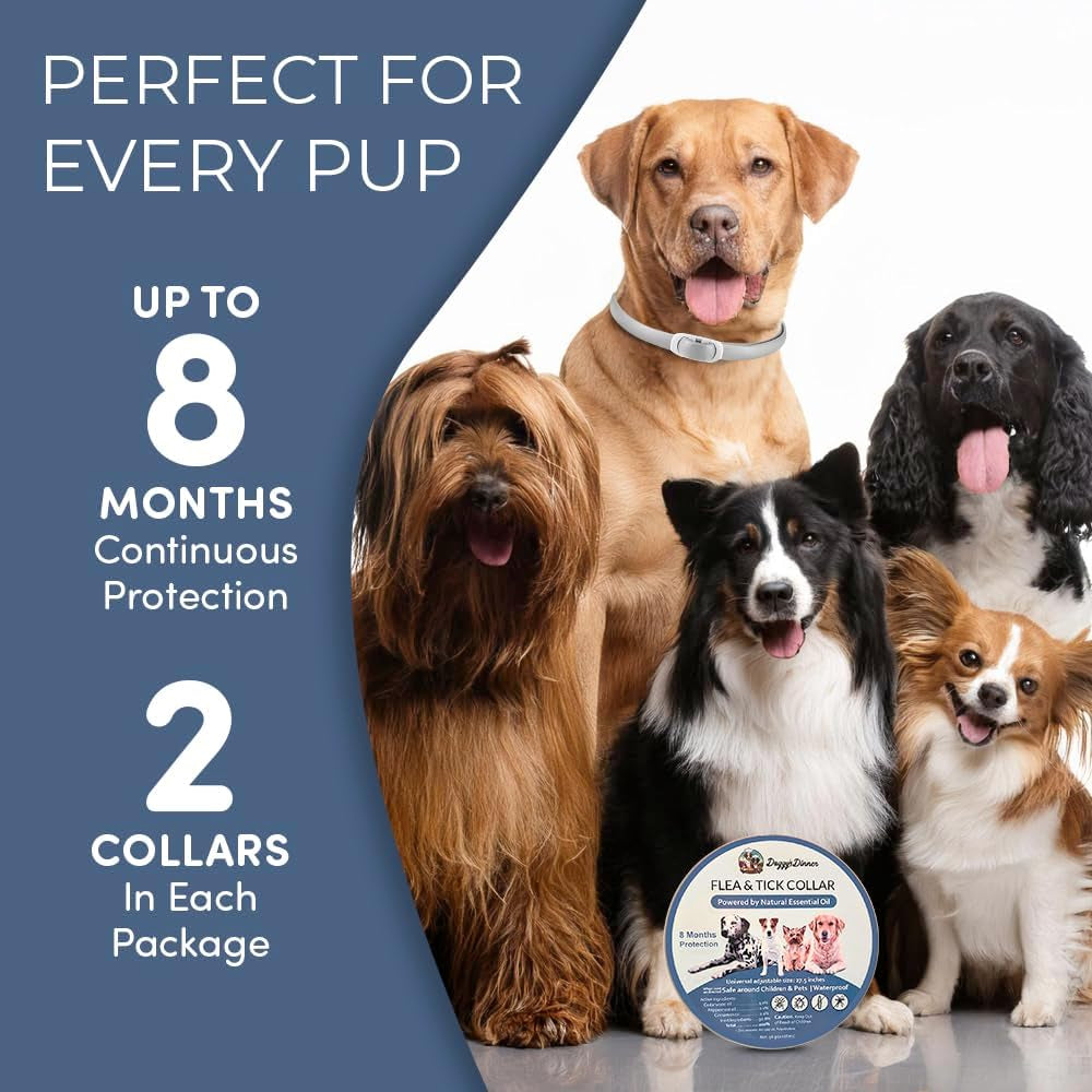 Natural Flea & Tick Collar for Dogs & Cats – 8 Months Protection – Essential Oils, Waterproof, Adjustable up to 27” – Chemical-Free, Safe for Puppies, Kittens & Sensitive Pets
