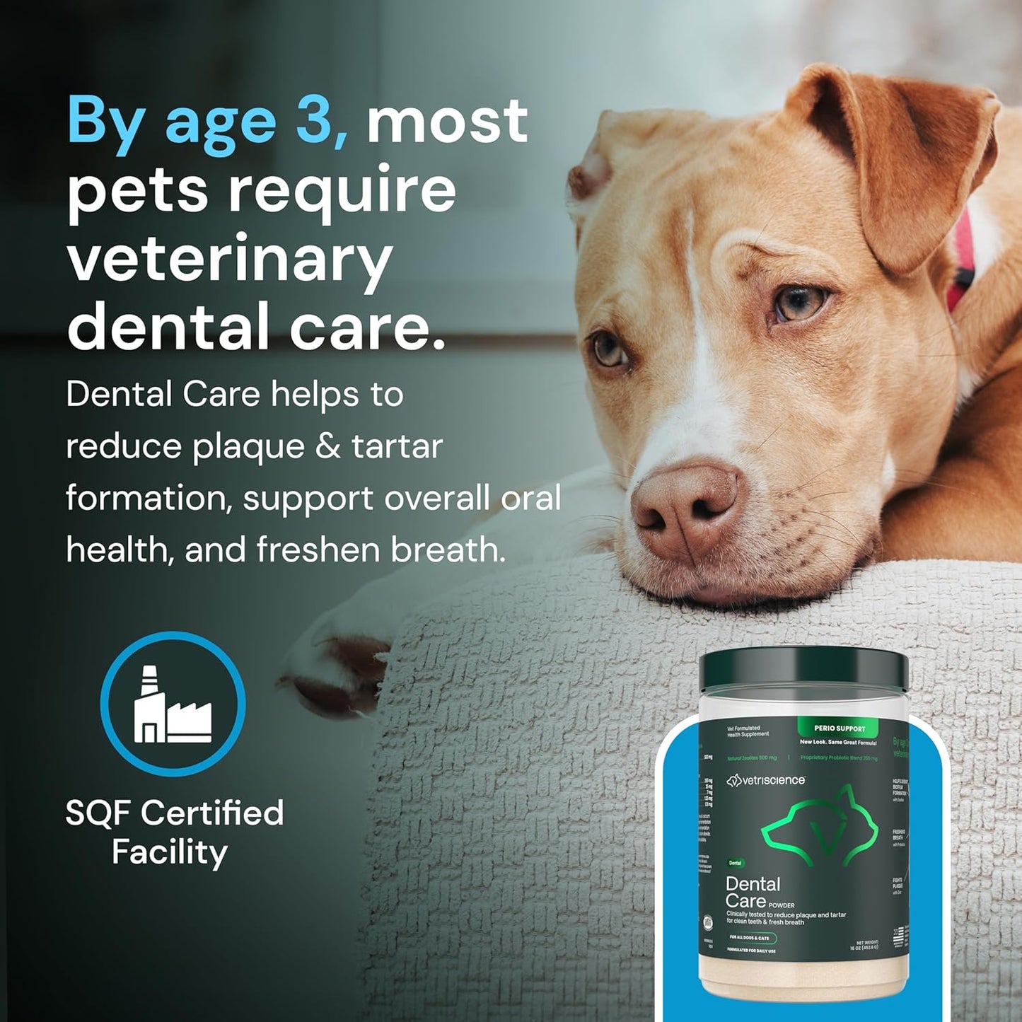 Dental Care Powder - Dental Supplement Powder for Dogs & Cats - Supports Breath Freshening - Healthy Teeth & Gums - Easy-To-Use Oral Hygiene for Pets - 16 Oz