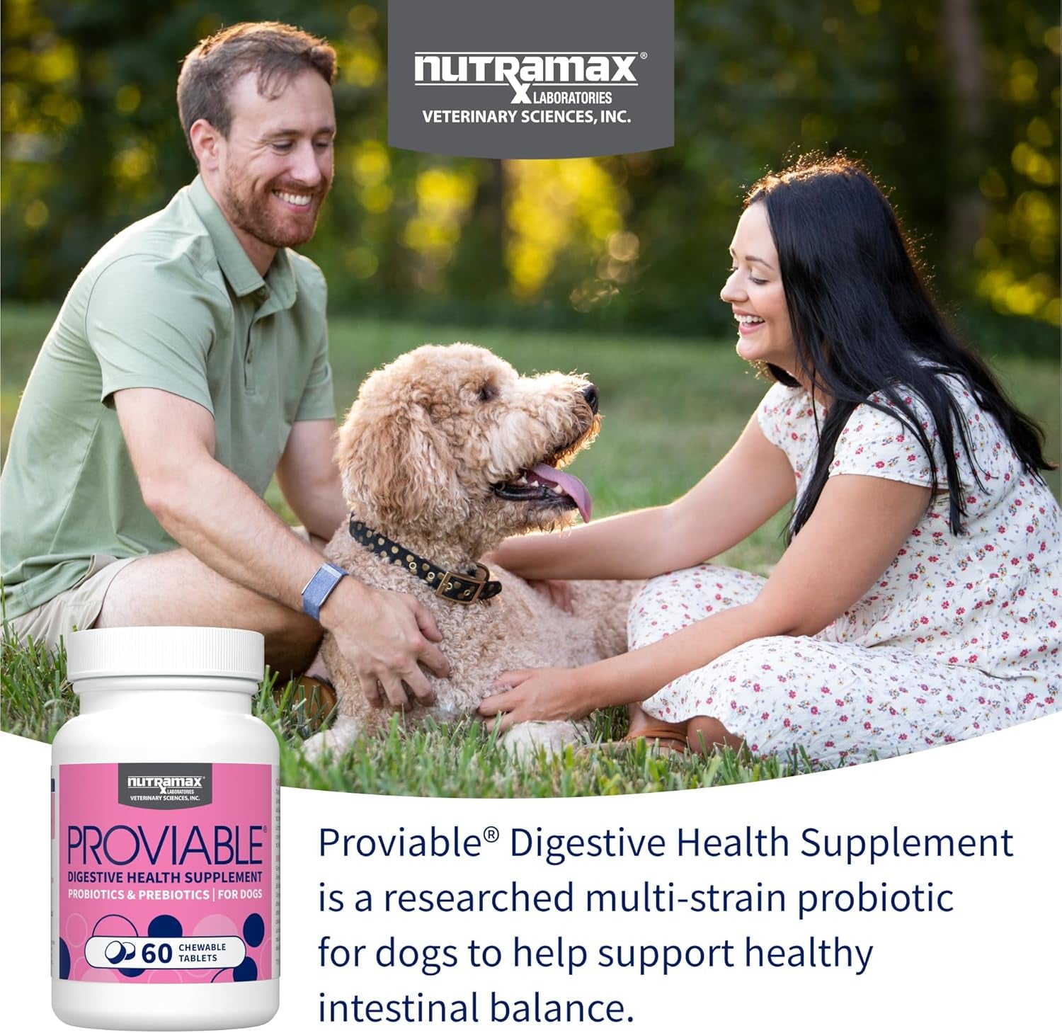 Nutramax Proviable Probiotics for Dogs, Daily Digestive Health Supplement with Multiple Strains of Bacteria, Dog Probiotics plus Prebiotics, 60 Chewable Tablets